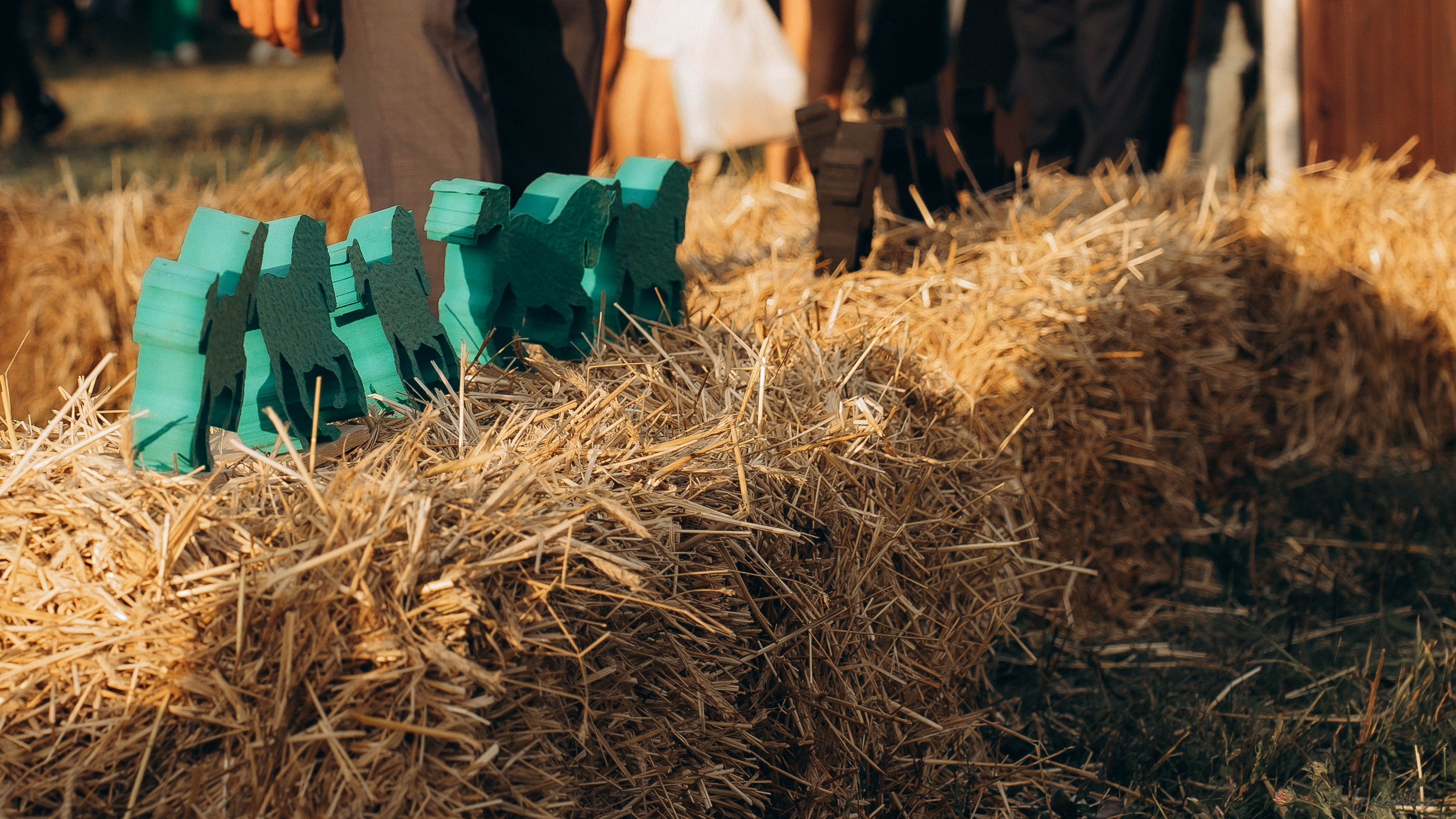День Коня. Алиса Никитцова | Фотограф в Казани