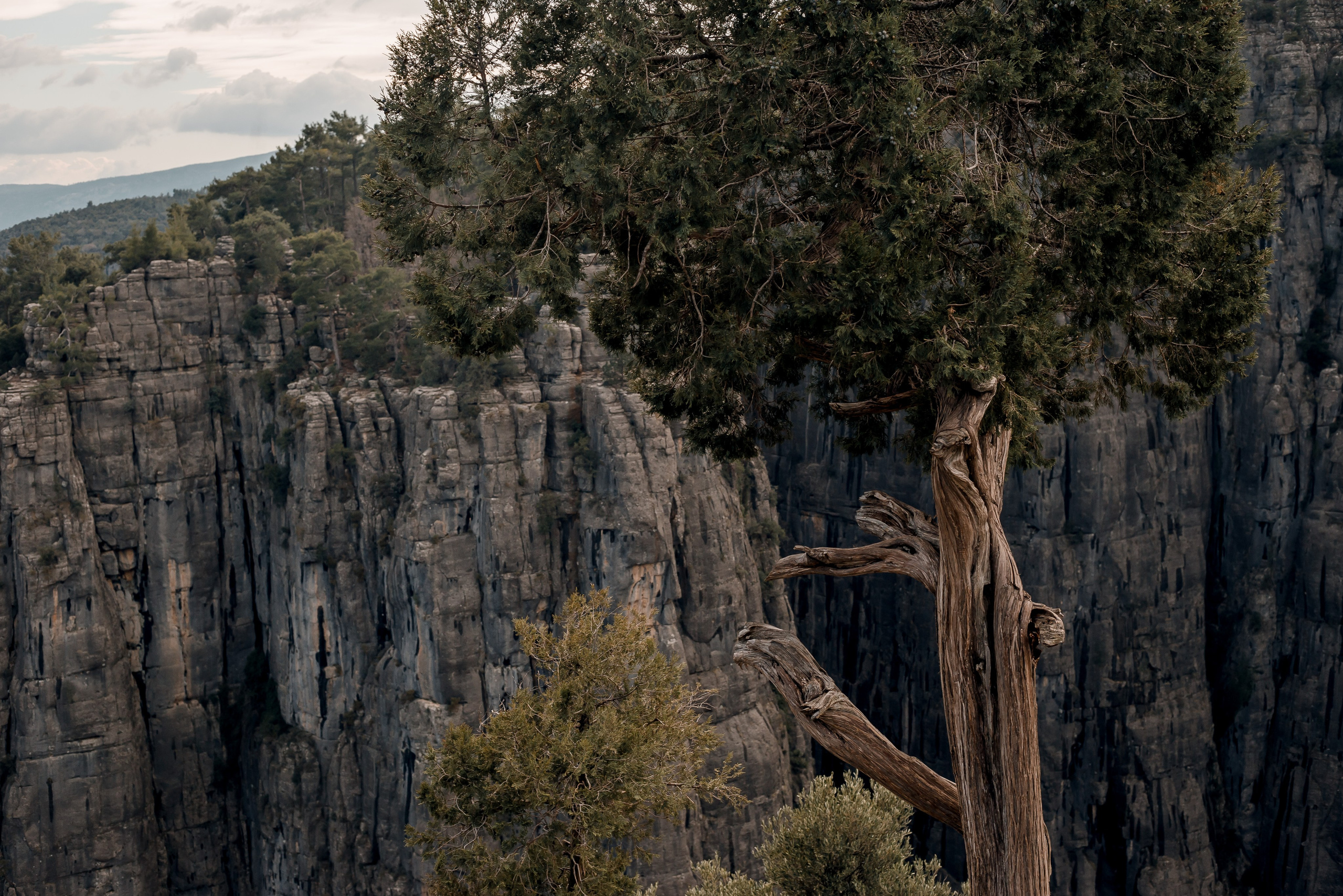 Turkey, Alanya. Art Photographer