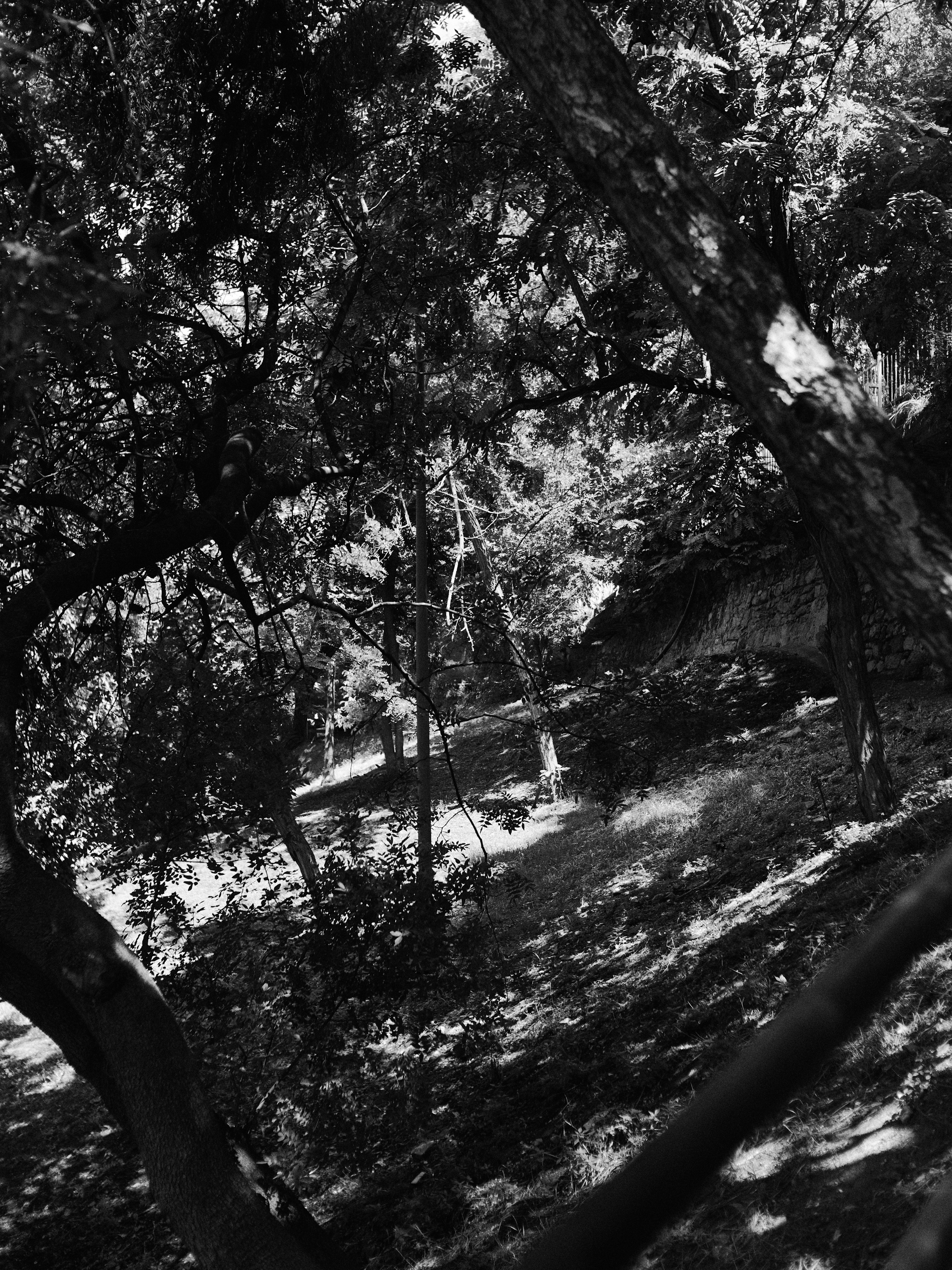 B&W. Jorgis — фотограф в Хургаде / обучение фотографии