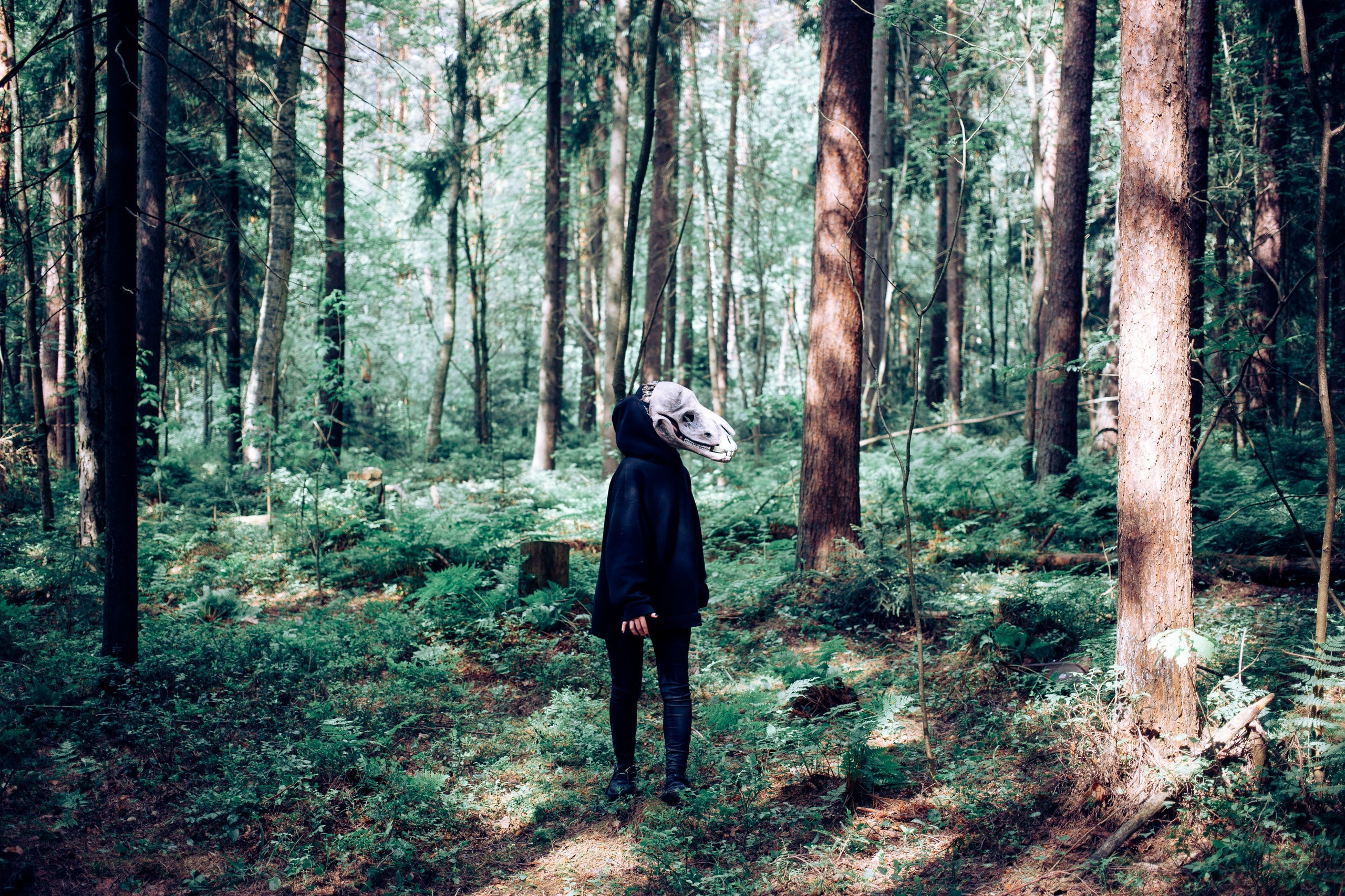 Запретный лес. Репортажный фотограф Анастасия Головко