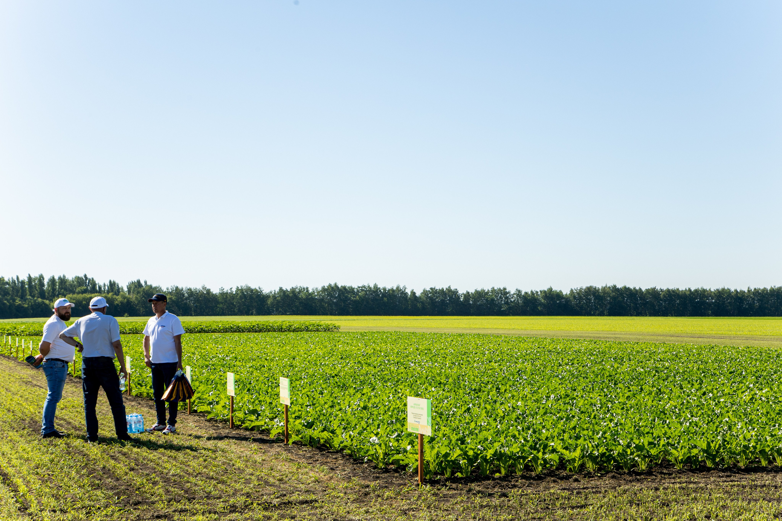 День Поля 2022. Владислав Волков | Фотография и видеосъемка в Воронеже