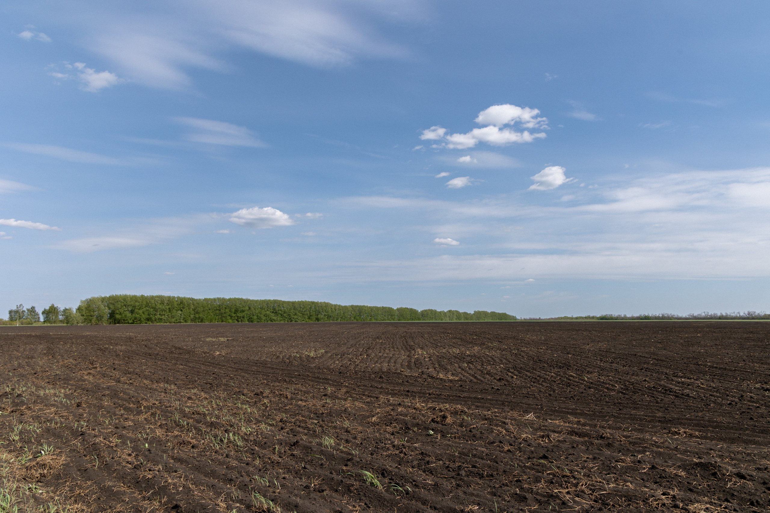 Земельный участок с объектами на нём. Владислав Волков | Фотография и видеосъемка в Воронеже