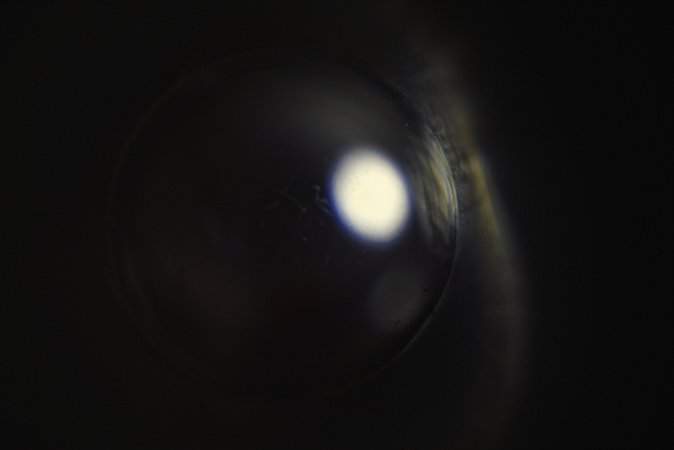 Bardo / Астигматическая ловушка для снов. Роман Ходырев — художник, фотограф, музыкант, эзотериолог. Санкт-Петербург, Рига