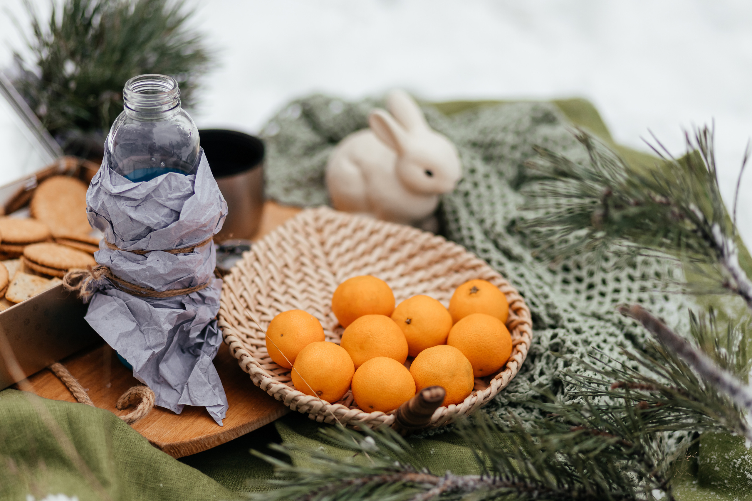 Лес. Сестрички. Семейный фотограф в Минске Приболовец Светлана