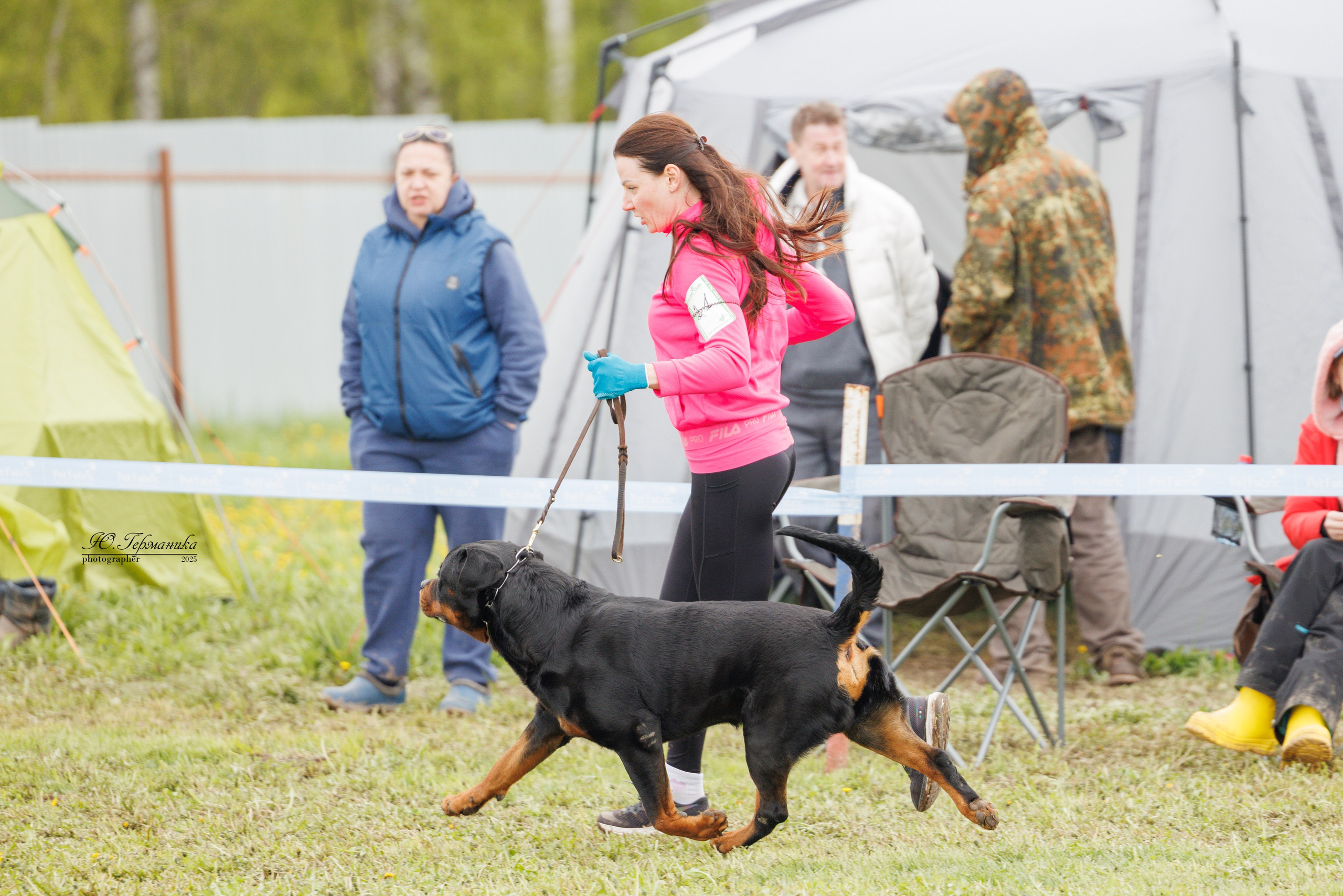 Нижний Новгород 2хмоно ротвейлеров 10-11.05.2025. Фотограф-анималист Юлия Германика