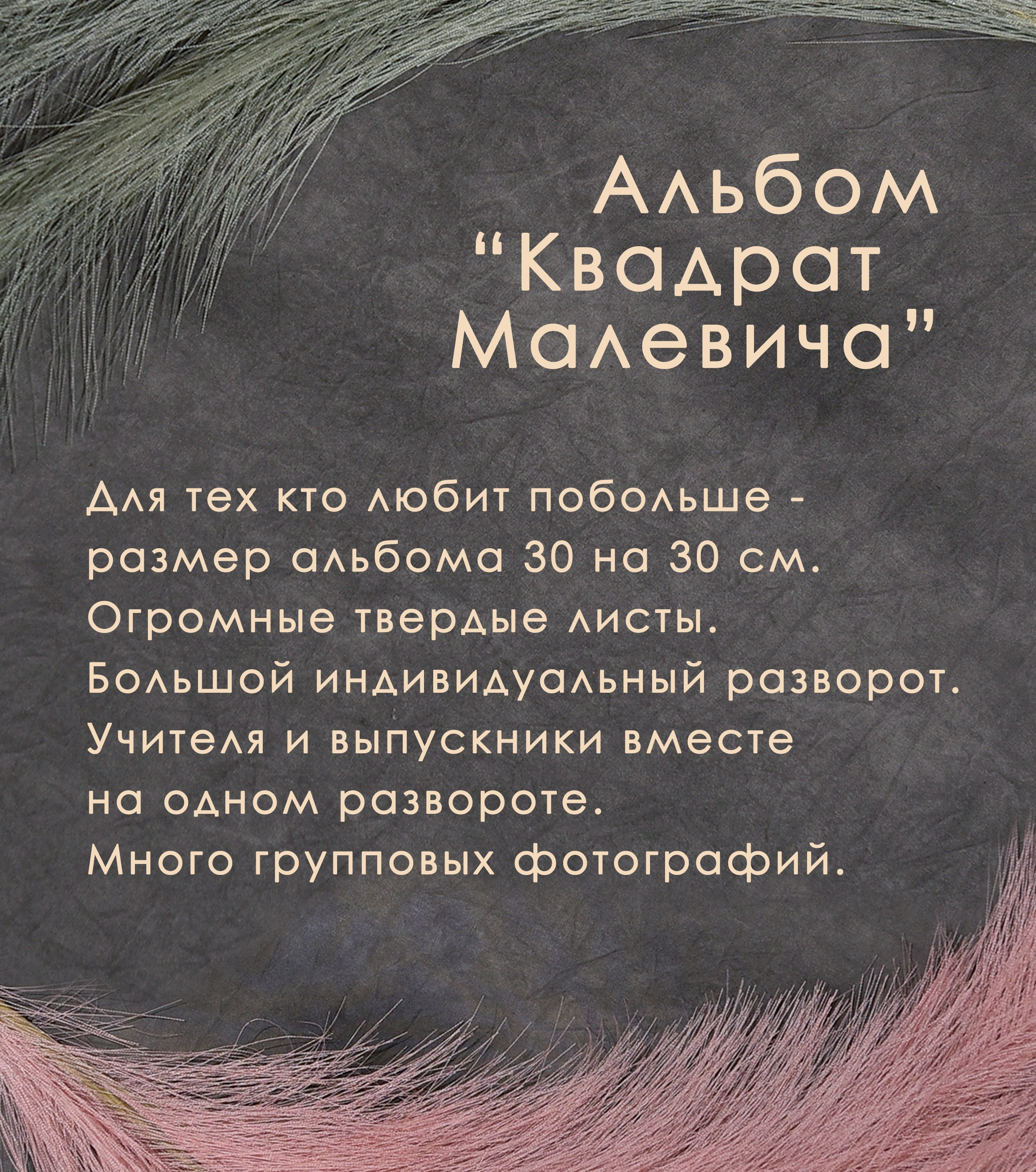 Квадрат Малевича. Фотограф Гончарова Анна г. Можайск