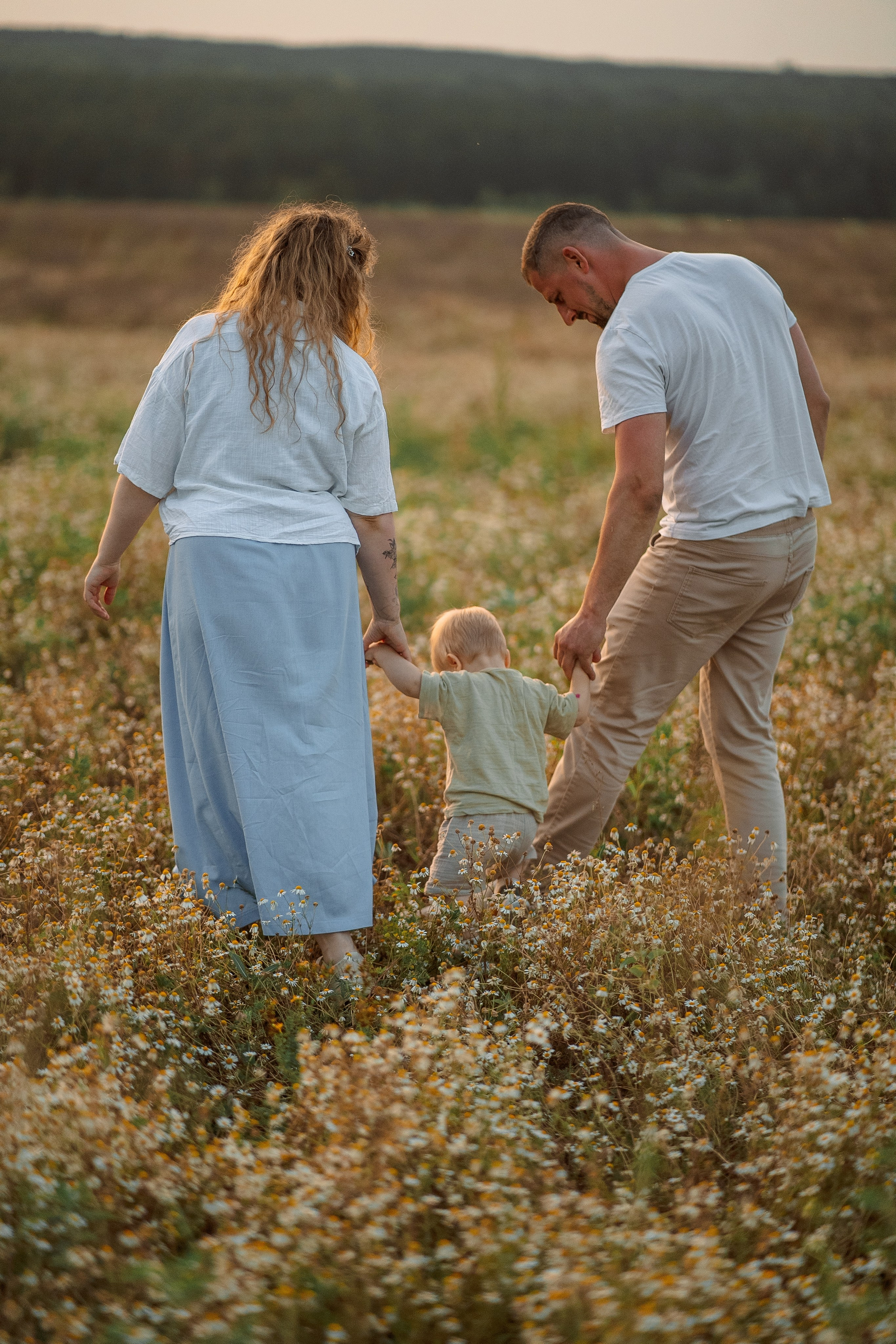 РОМАШКИ. Фотограф Мария Зайчик