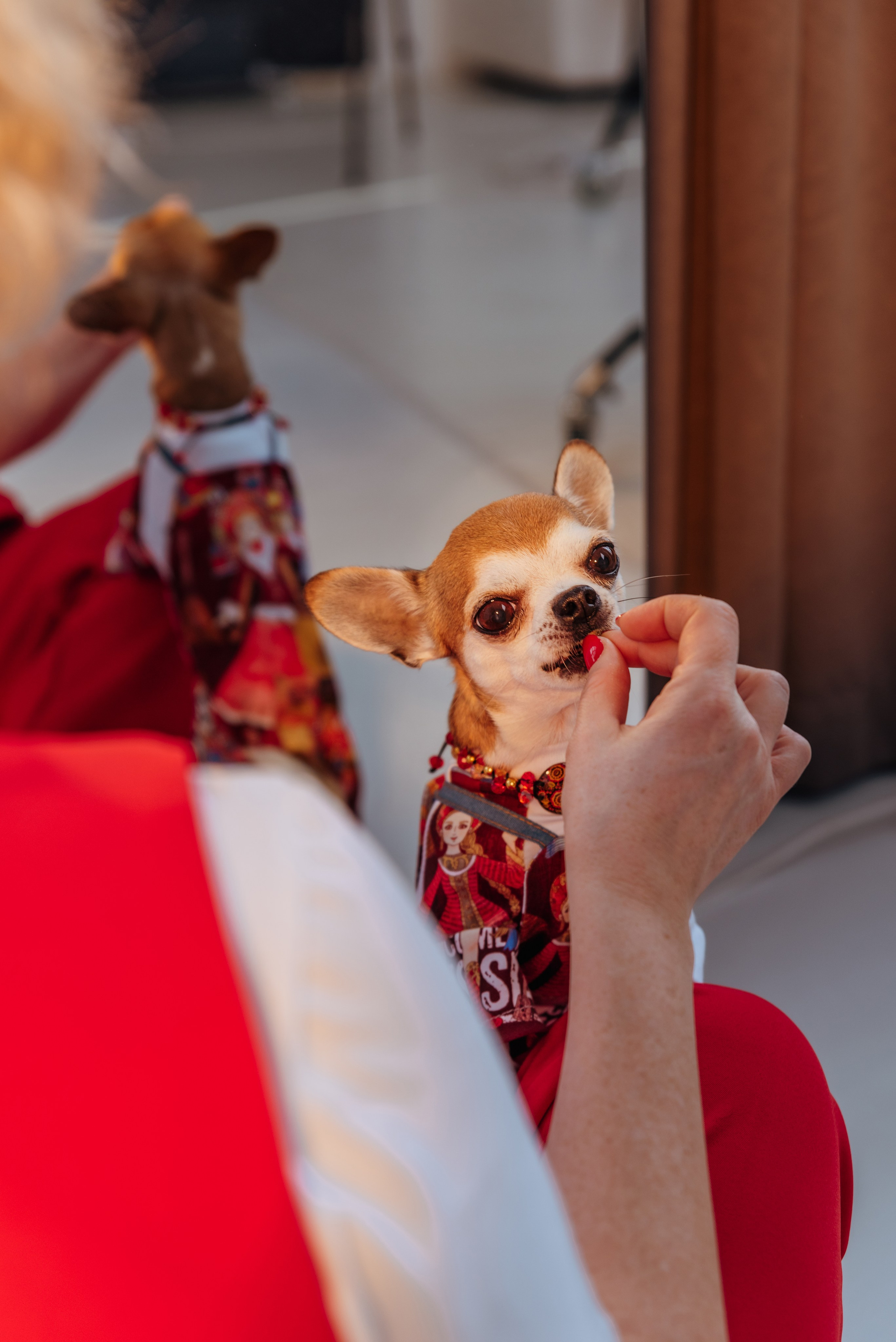 Лена для дома моды. Ольга Козлова фотограф Волгоград olkiny-fotki.ru
