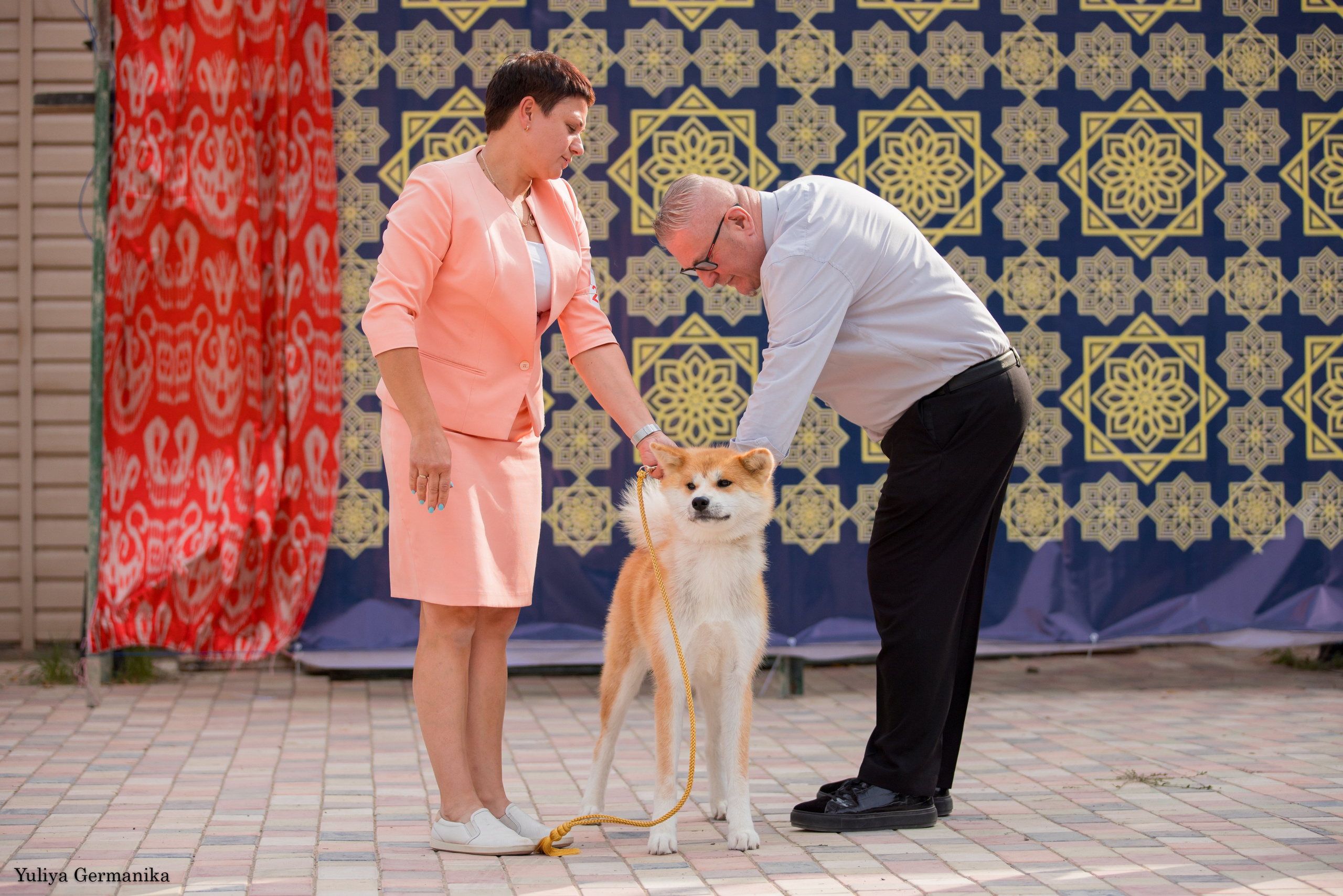 Ташкент 6-8.10.2023 + Алматы 14-15.10.2023. Фотограф-анималист Юлия Германика