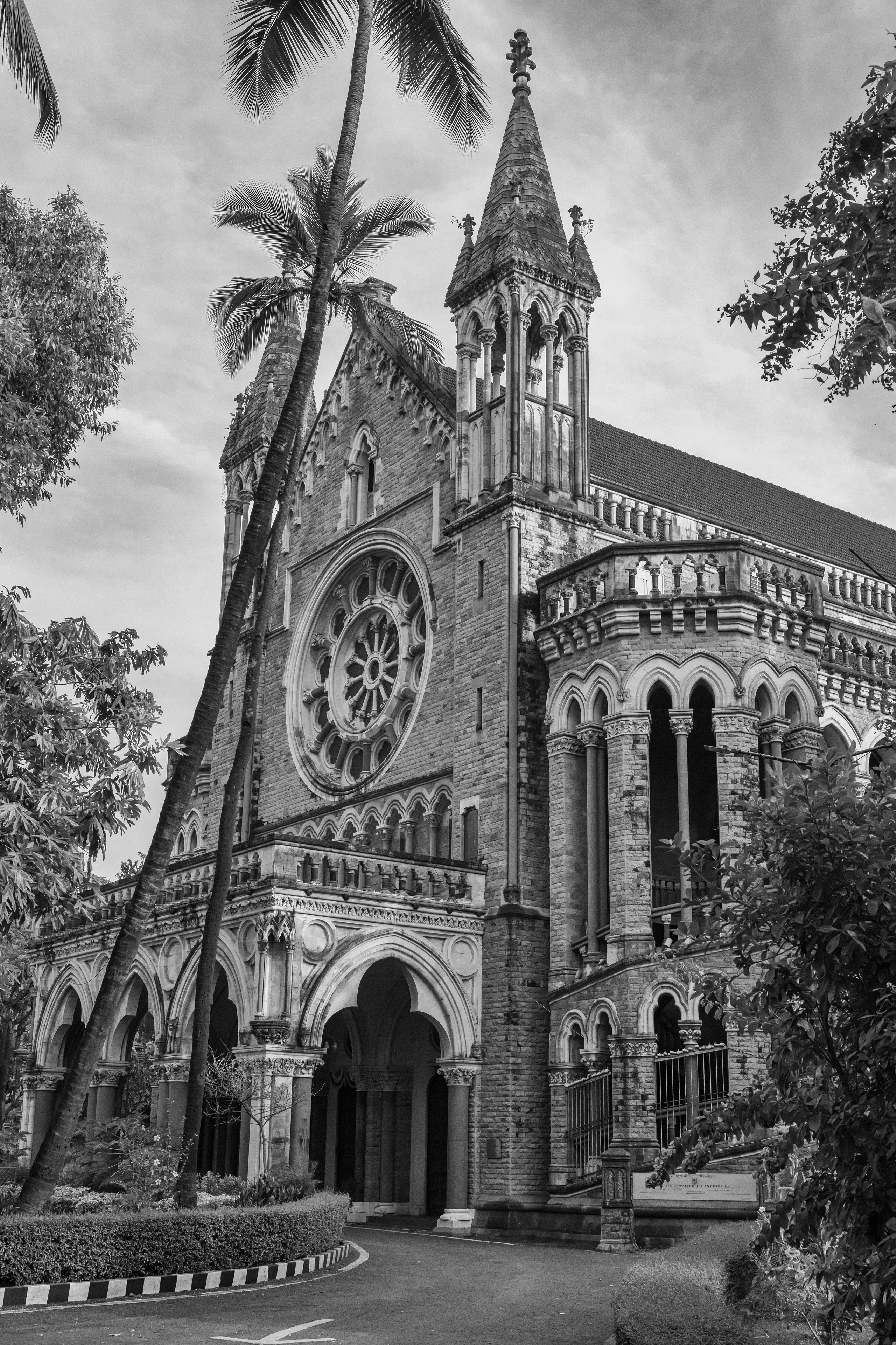 Dimitri Bakhtadze, single works photos. Dimitri Bakhtadze photographer