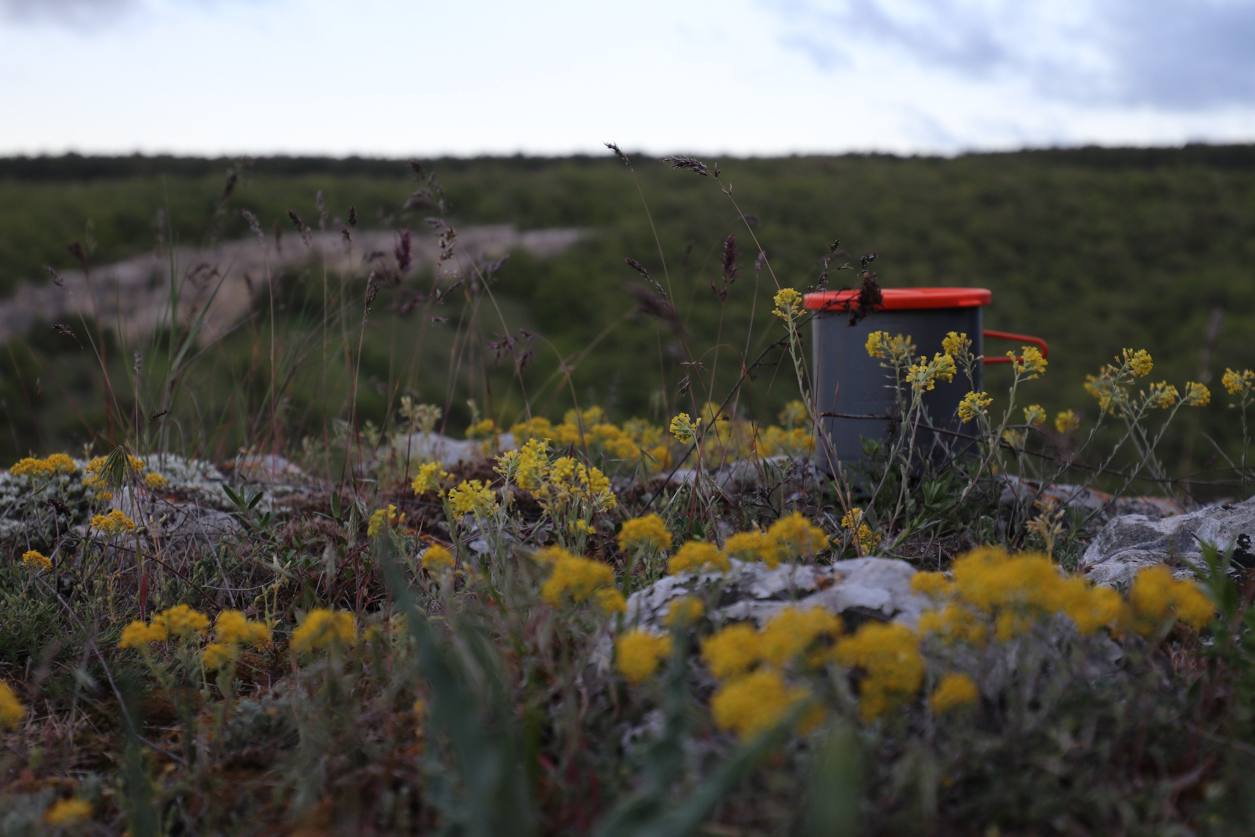 Крым. ЮБК (Бахчисарай, Демерджи, Судак). Первый скалолазный выезд. Май 2019. Путешественник-фотограф из Санкт-Петербурга Татьяна Свистулина