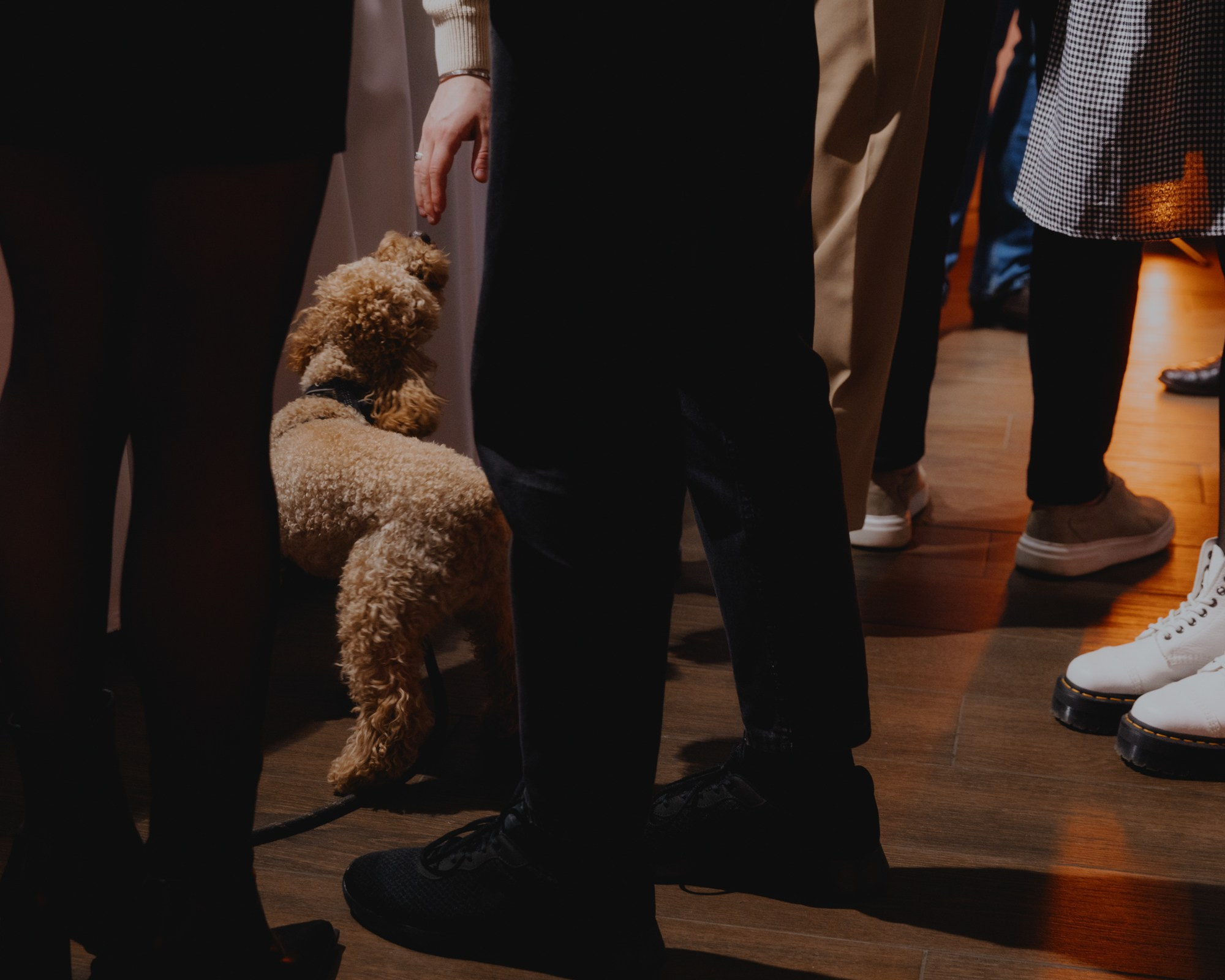 15 лет PIZHON. Свадебные фотографы в Гомеле и Минске Сергей и Анастасия Фещенок