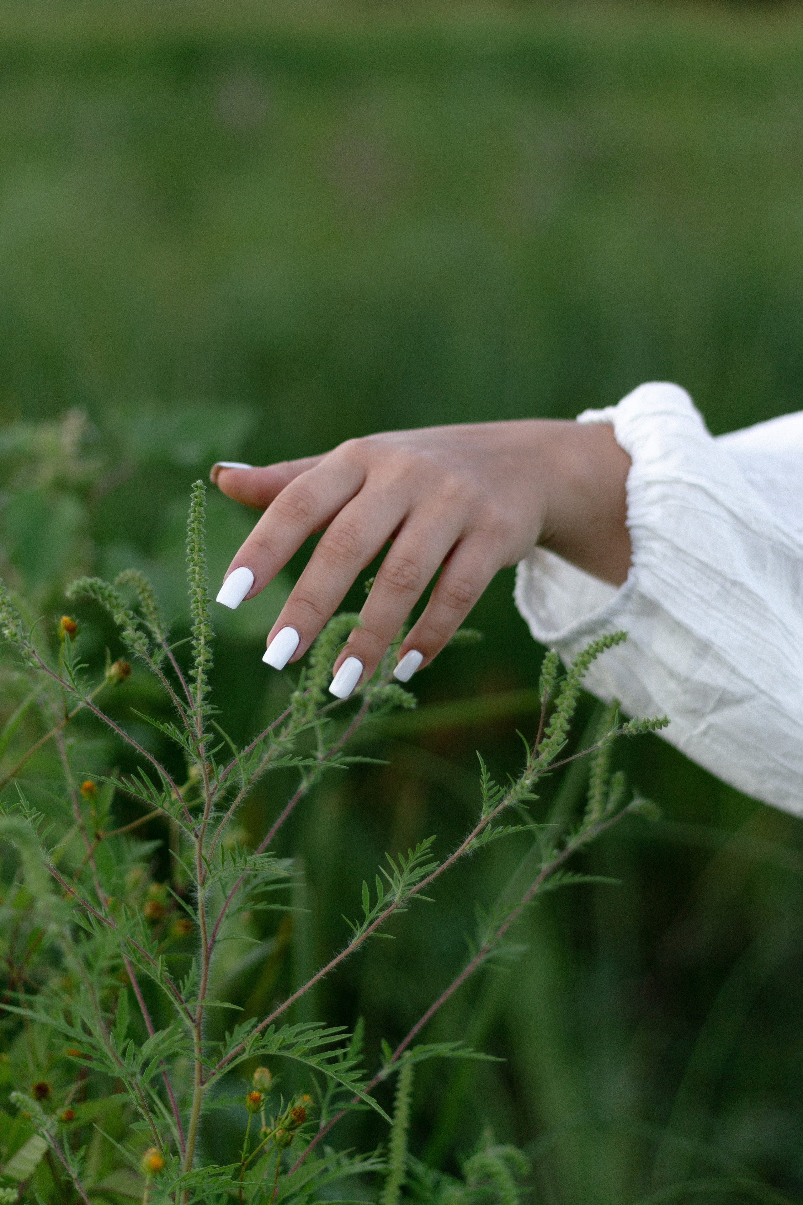 Ангелина. Фотограф