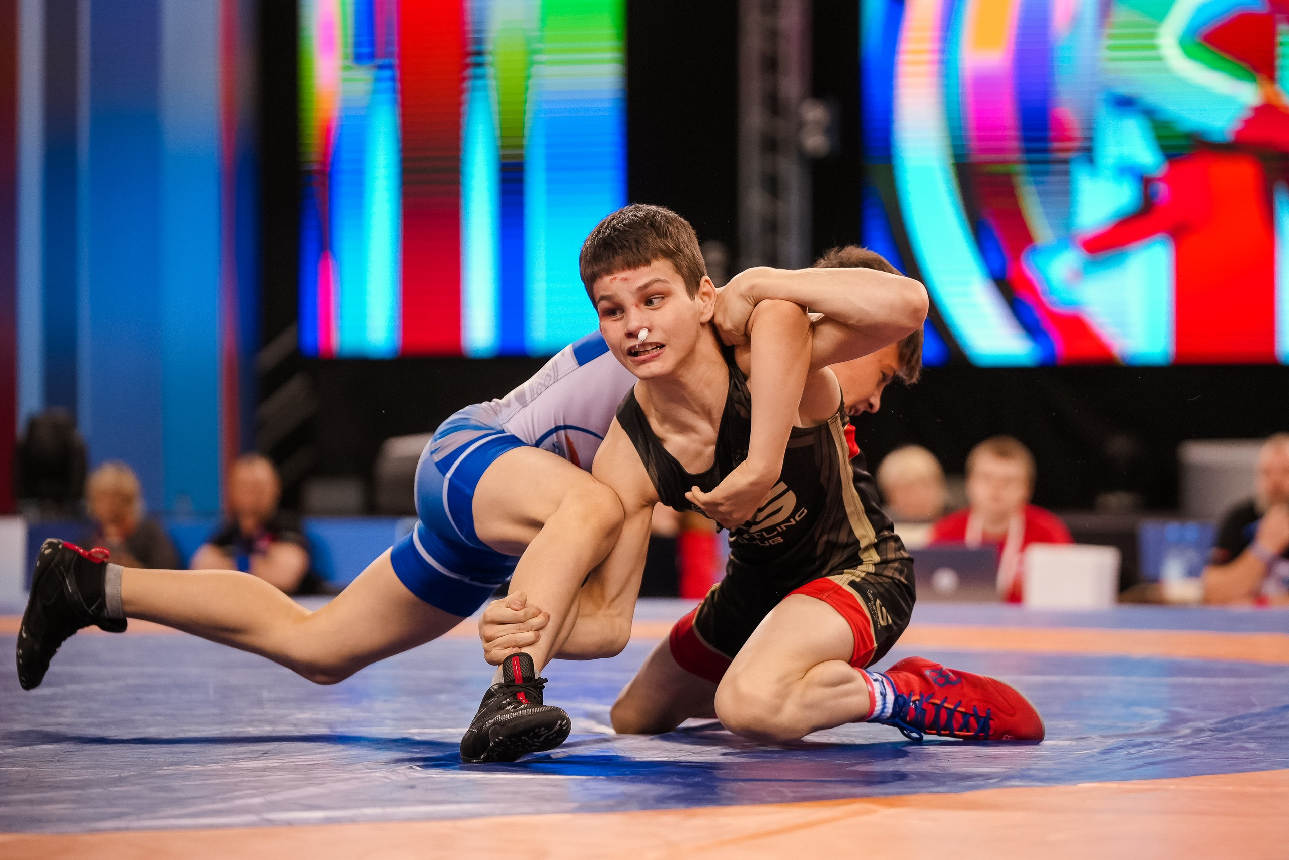 ПЕРВЕНСТВО РОССИИ по вольной борьбе 2025 Красноярск