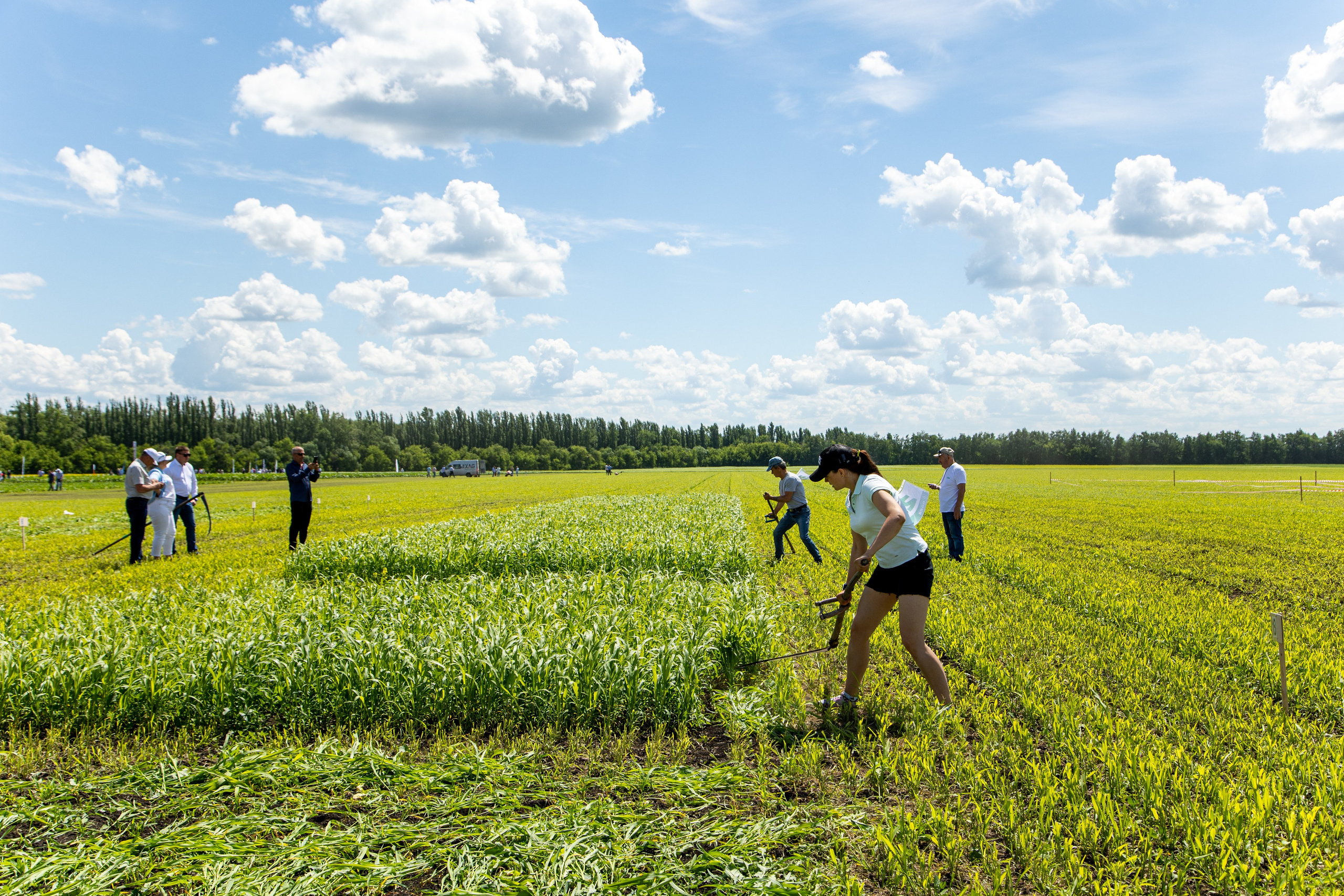 День Поля 2022. Владислав Волков | Фотография и видеосъемка в Воронеже