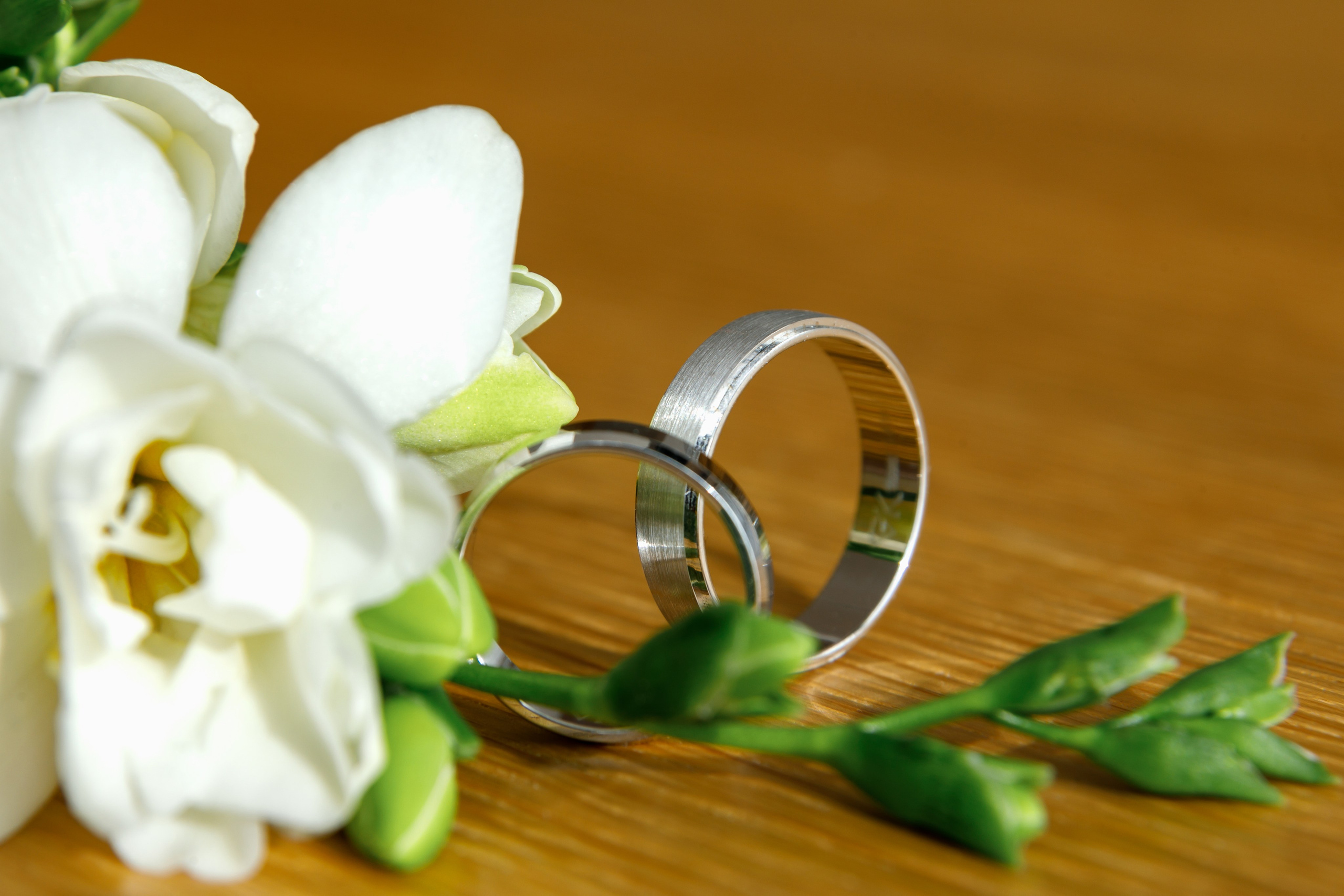 Анастасия и Алексей. Владислав Волков | Фотография и видеосъемка в Воронеже