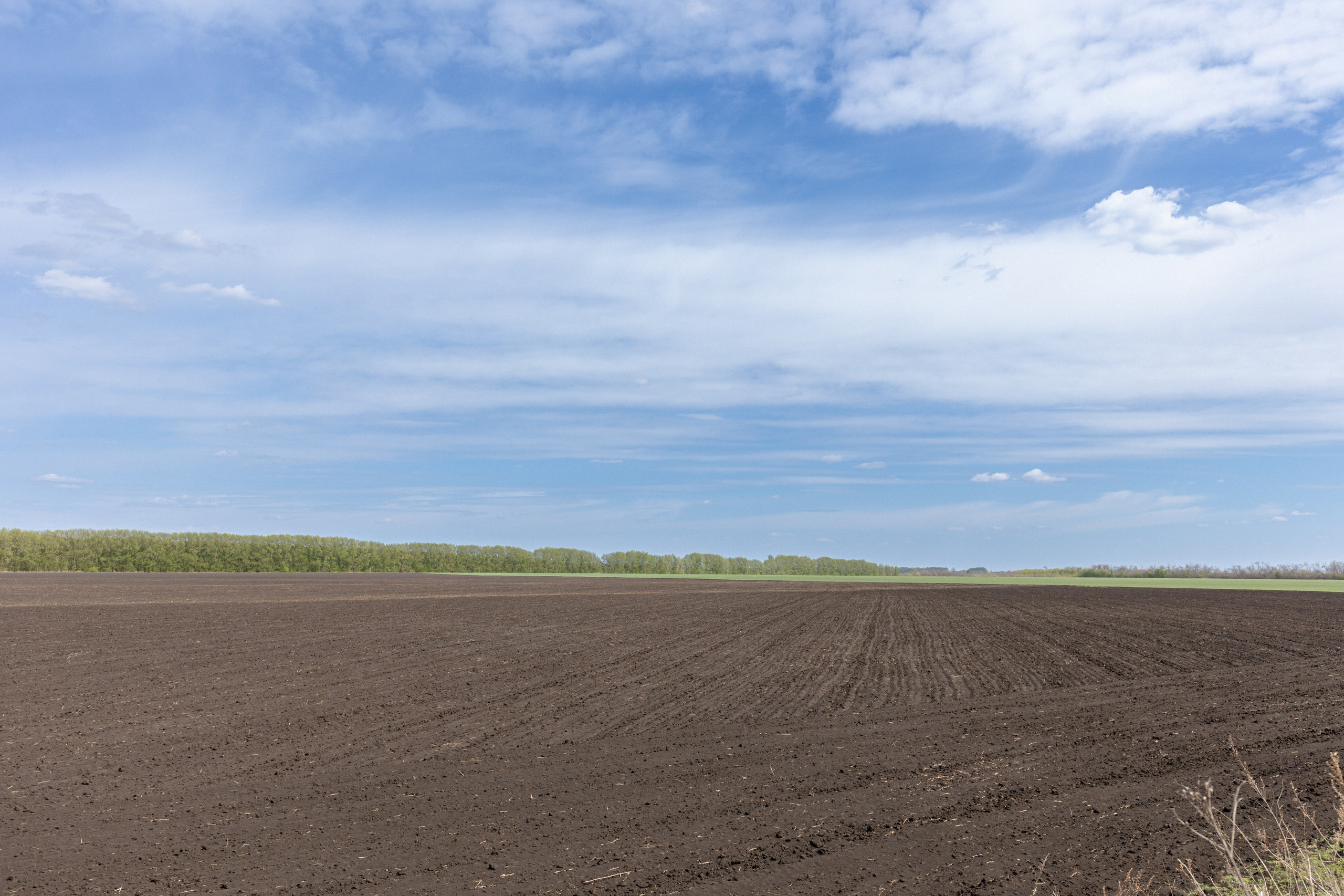 Земельный участок с объектами на нём. Владислав Волков | Фотография и видеосъемка в Воронеже