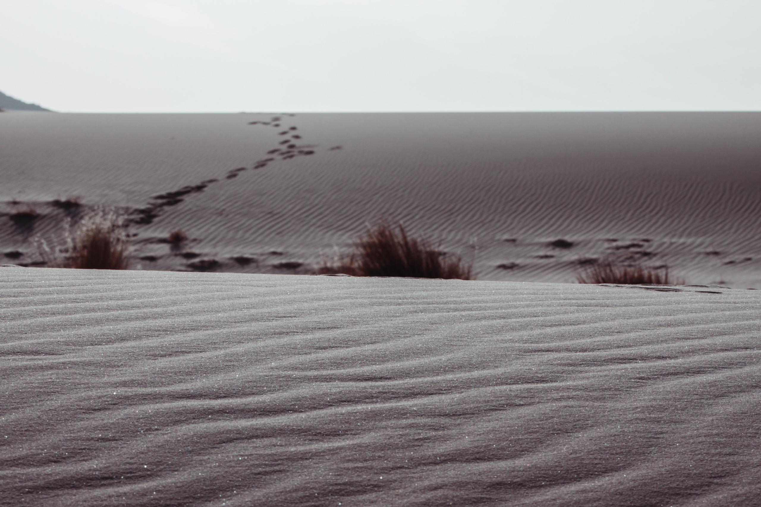 Дария Галямова — фотограф: открытый, творческий, коммерческий
