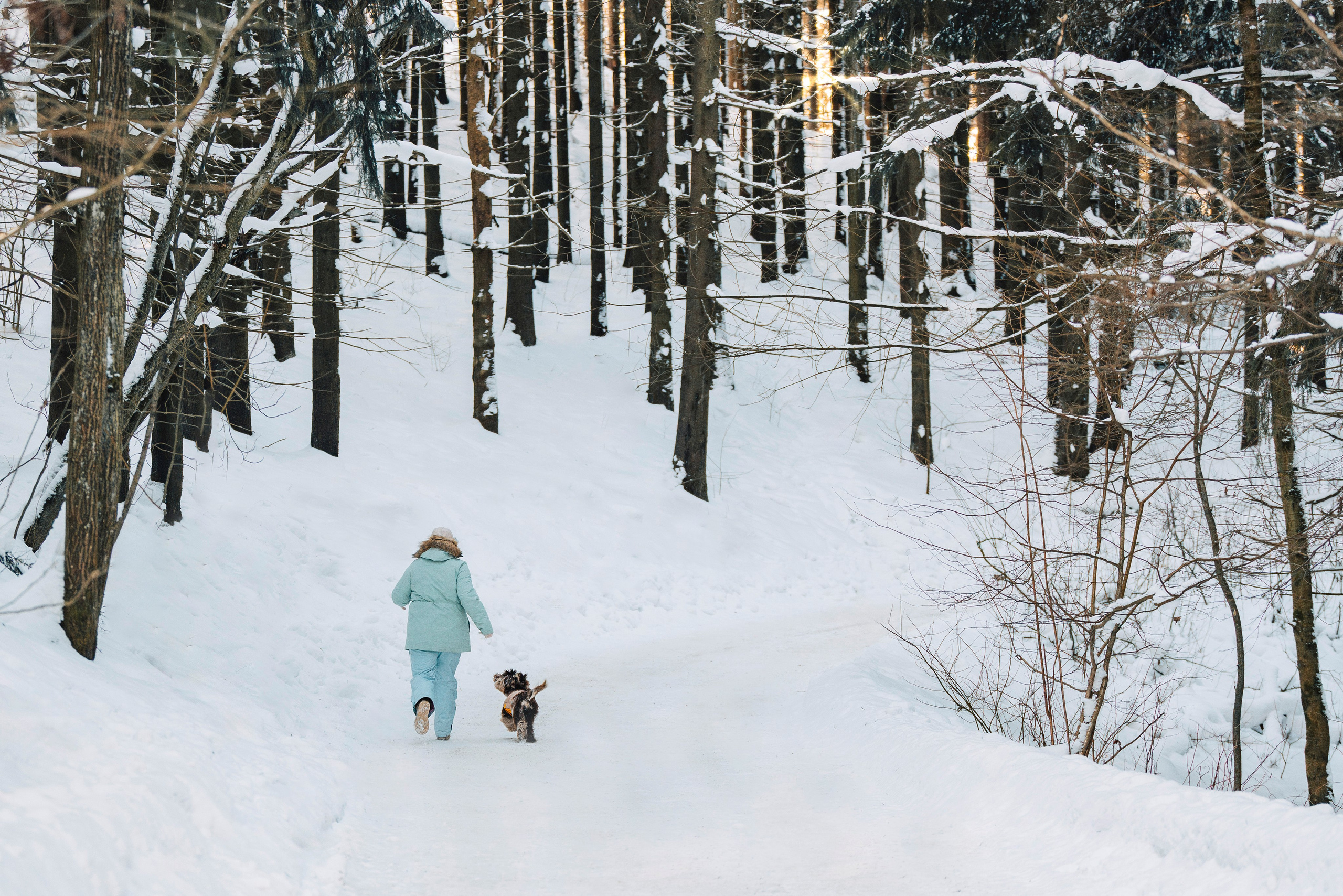 Хэйзел и её семья. Фотограф анималист в Спб недорого Олеся Майорова