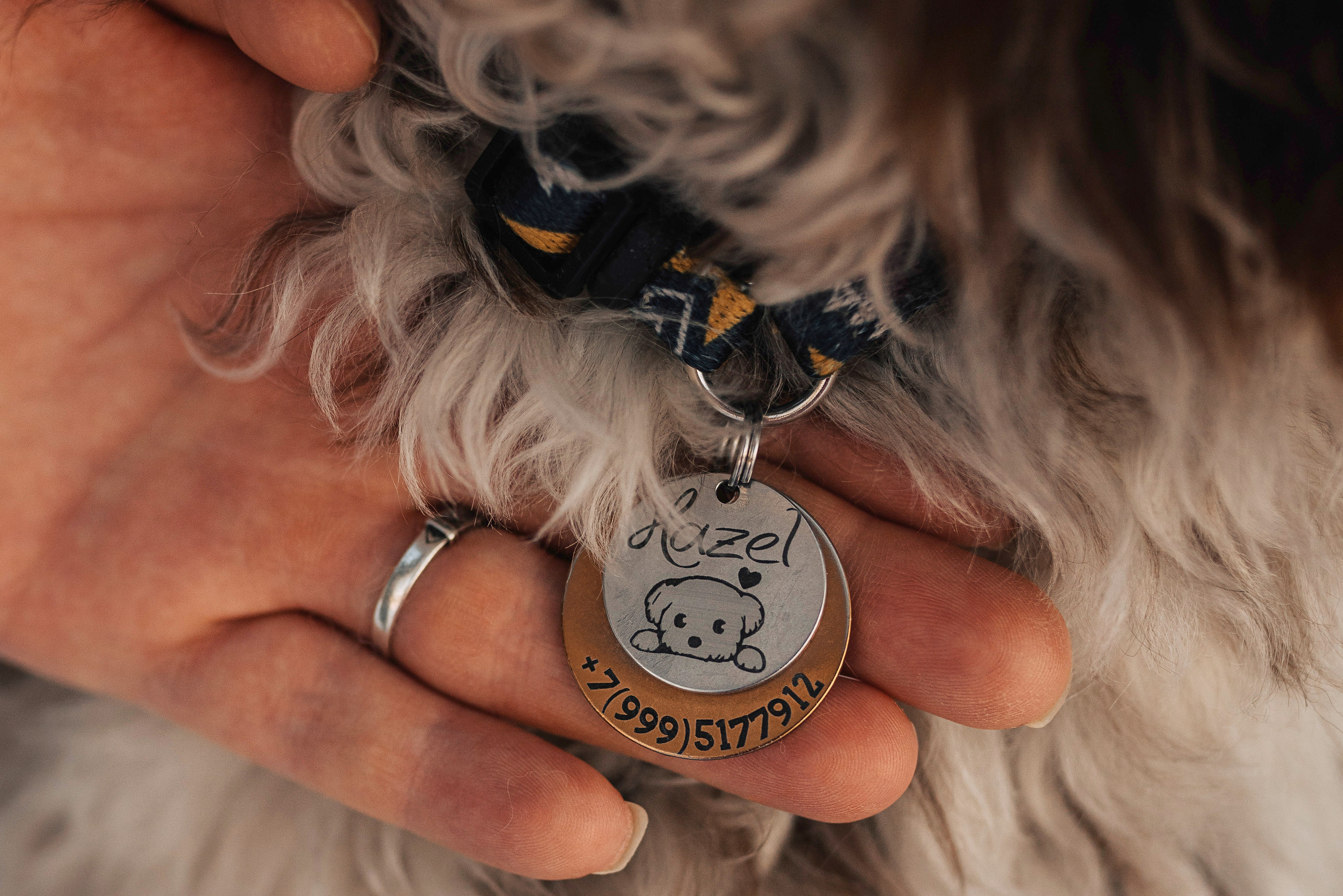 Хэйзел и её семья. Фотограф анималист в Спб недорого Олеся Майорова