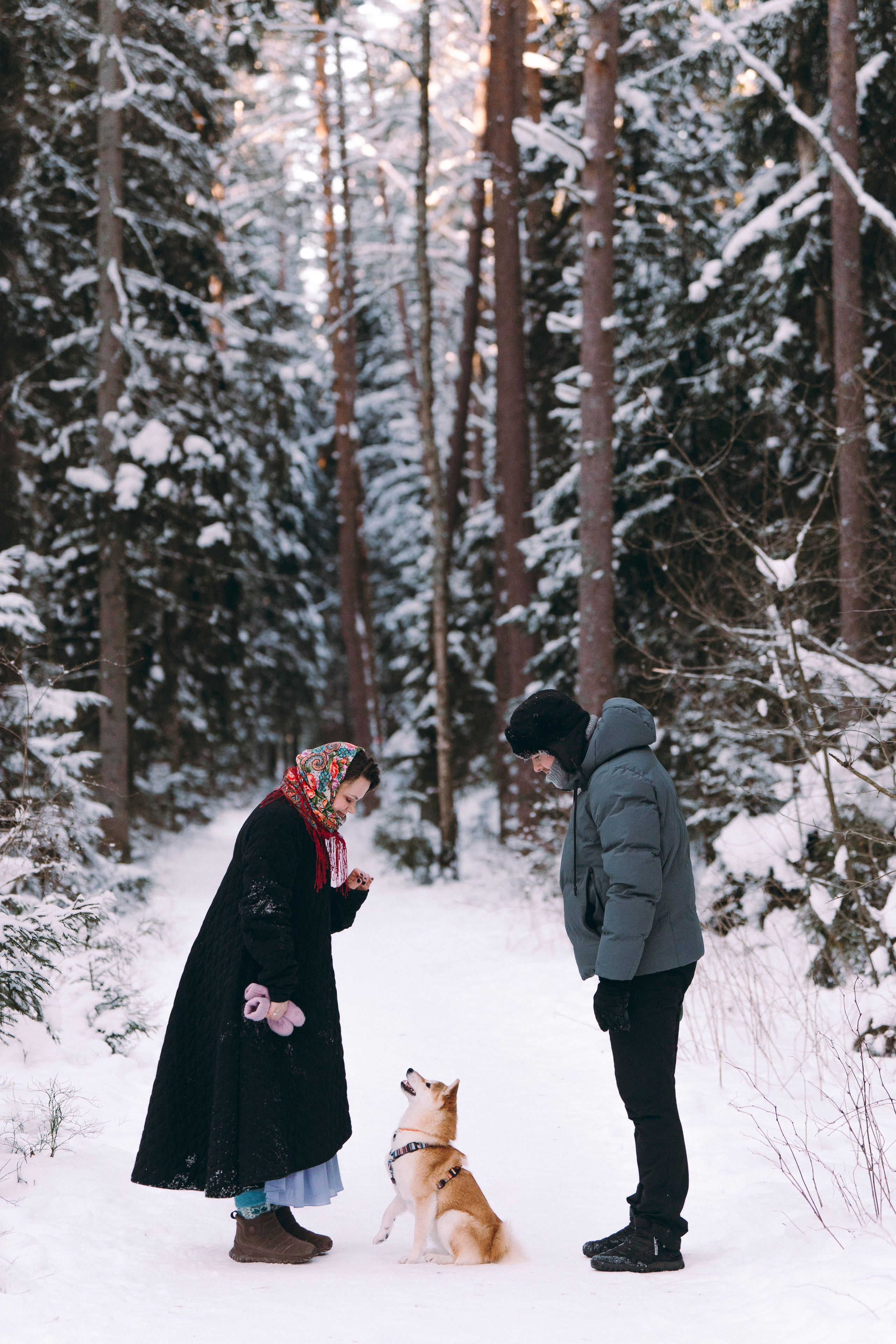 Каори, Анна и Антон. Фотограф анималист в Спб недорого Олеся Майорова