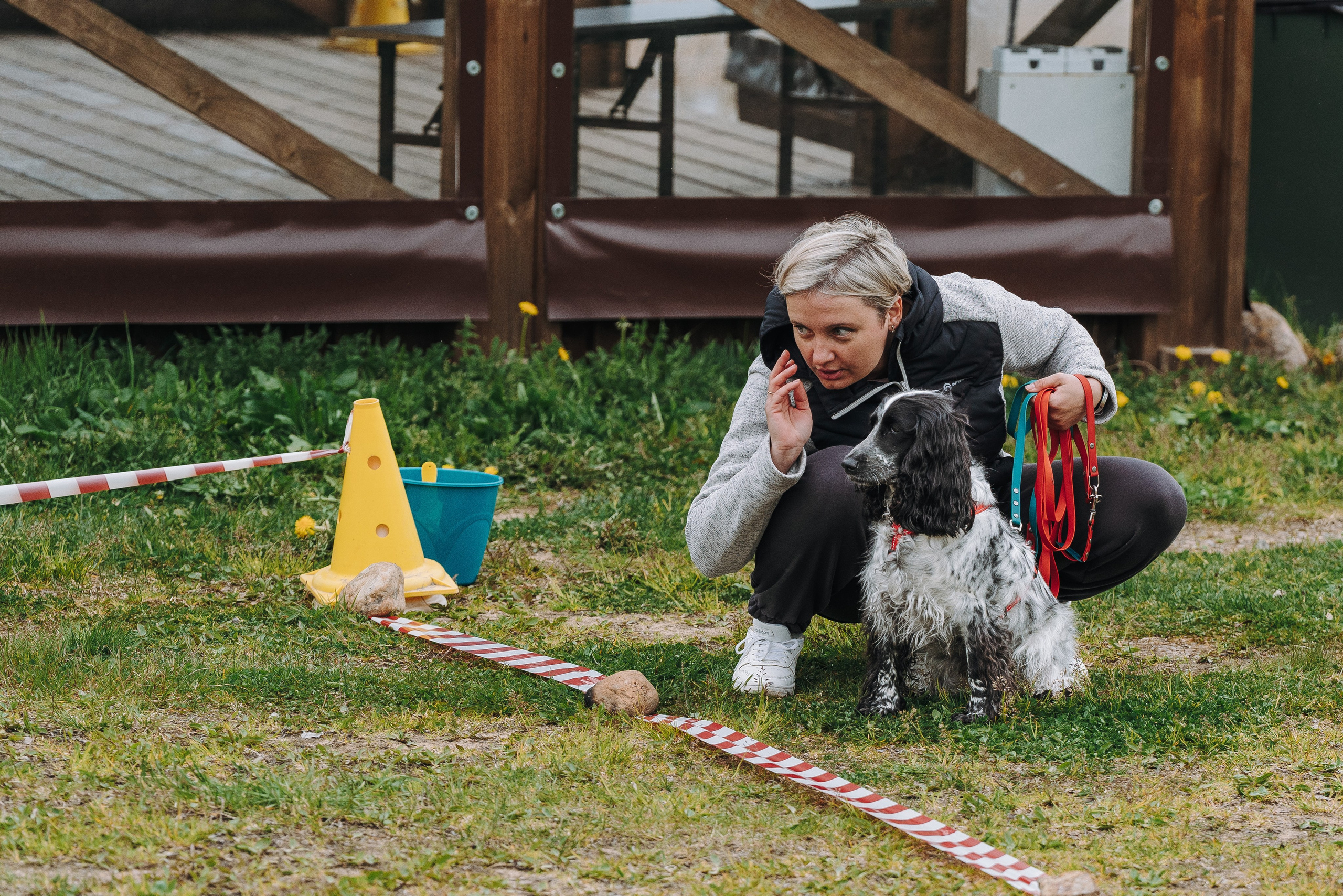 Соревнования по ноузворку в Лосево. Фотограф анималист в Спб недорого Олеся Майорова