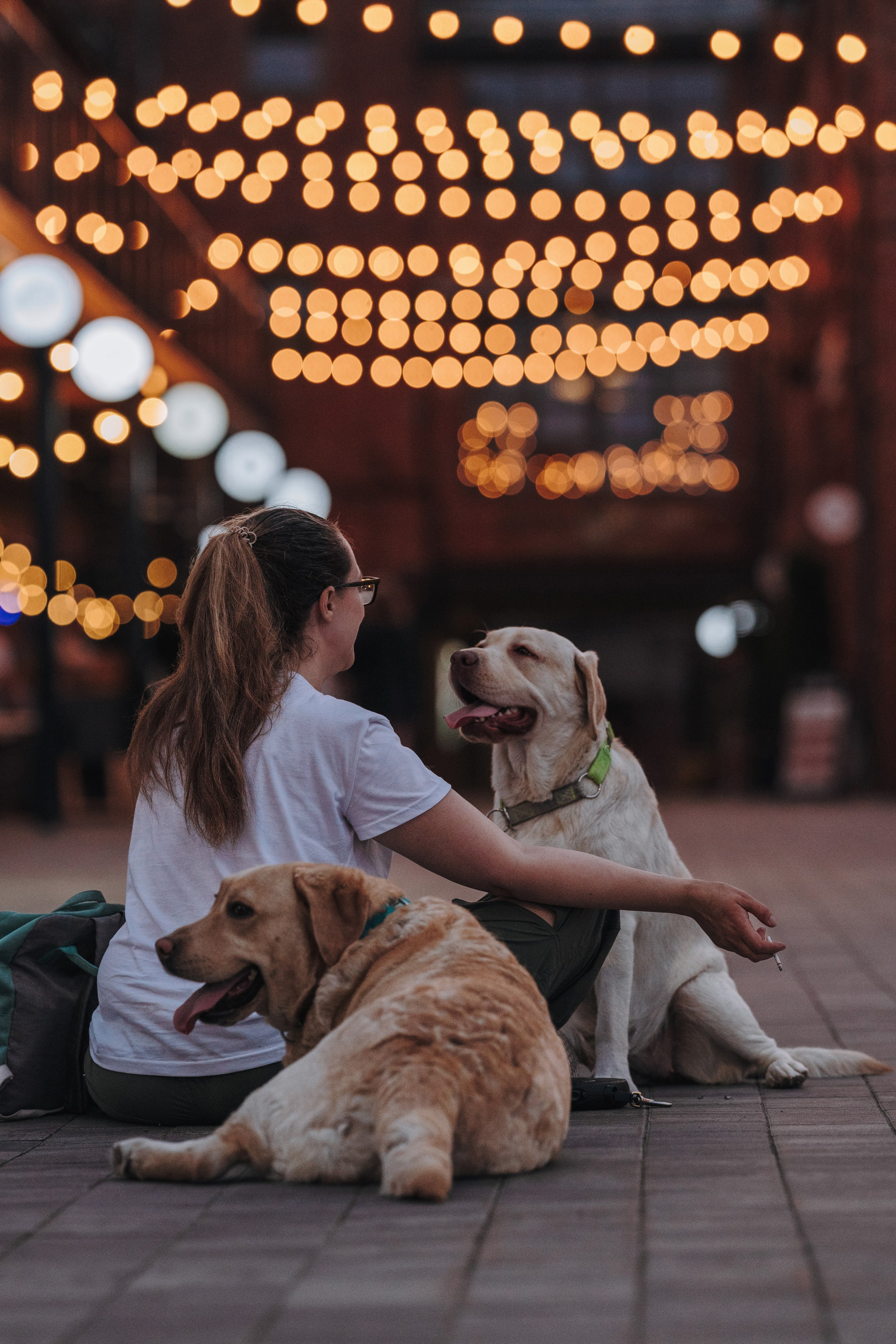 Фотосъёмка с вашими питомцами. Фотограф анималист в Спб недорого Олеся Майорова