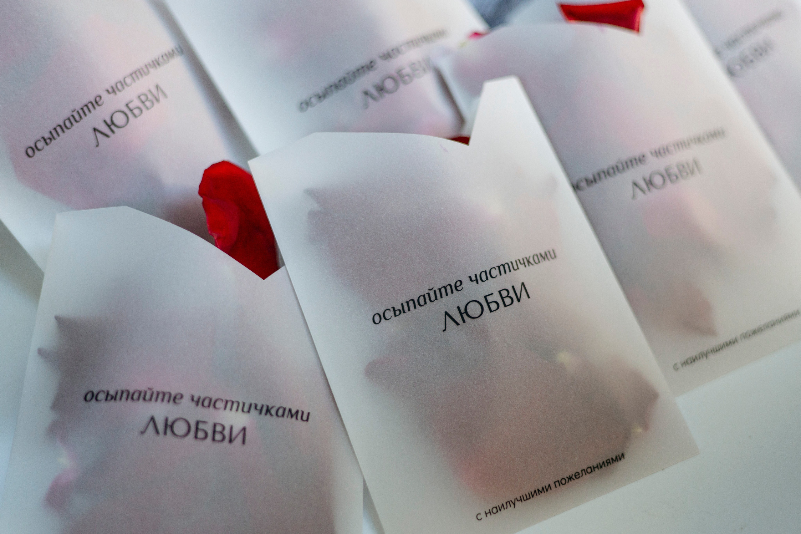 Илья и Александра. Nikolpinhasova