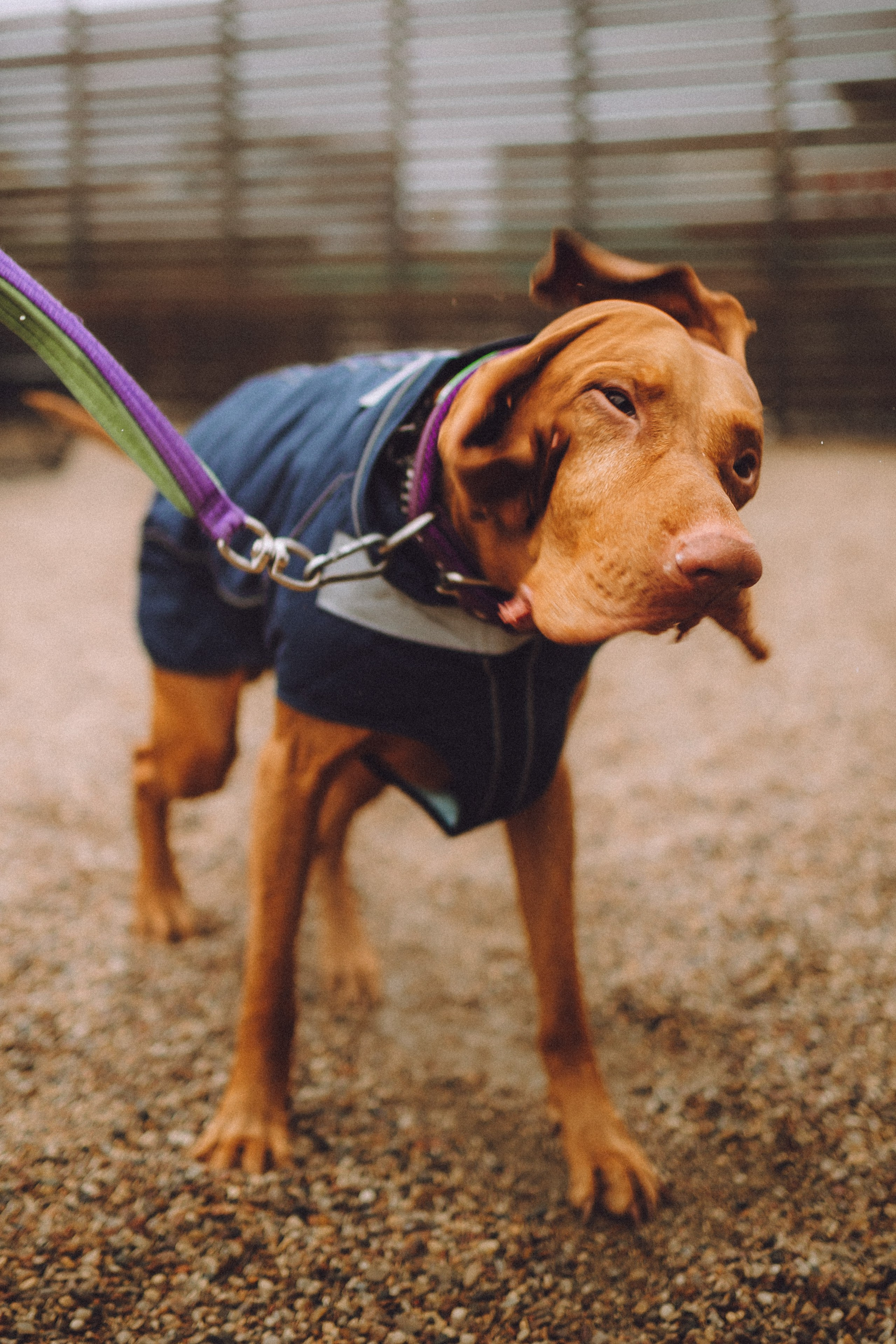 Екатерина и Даня