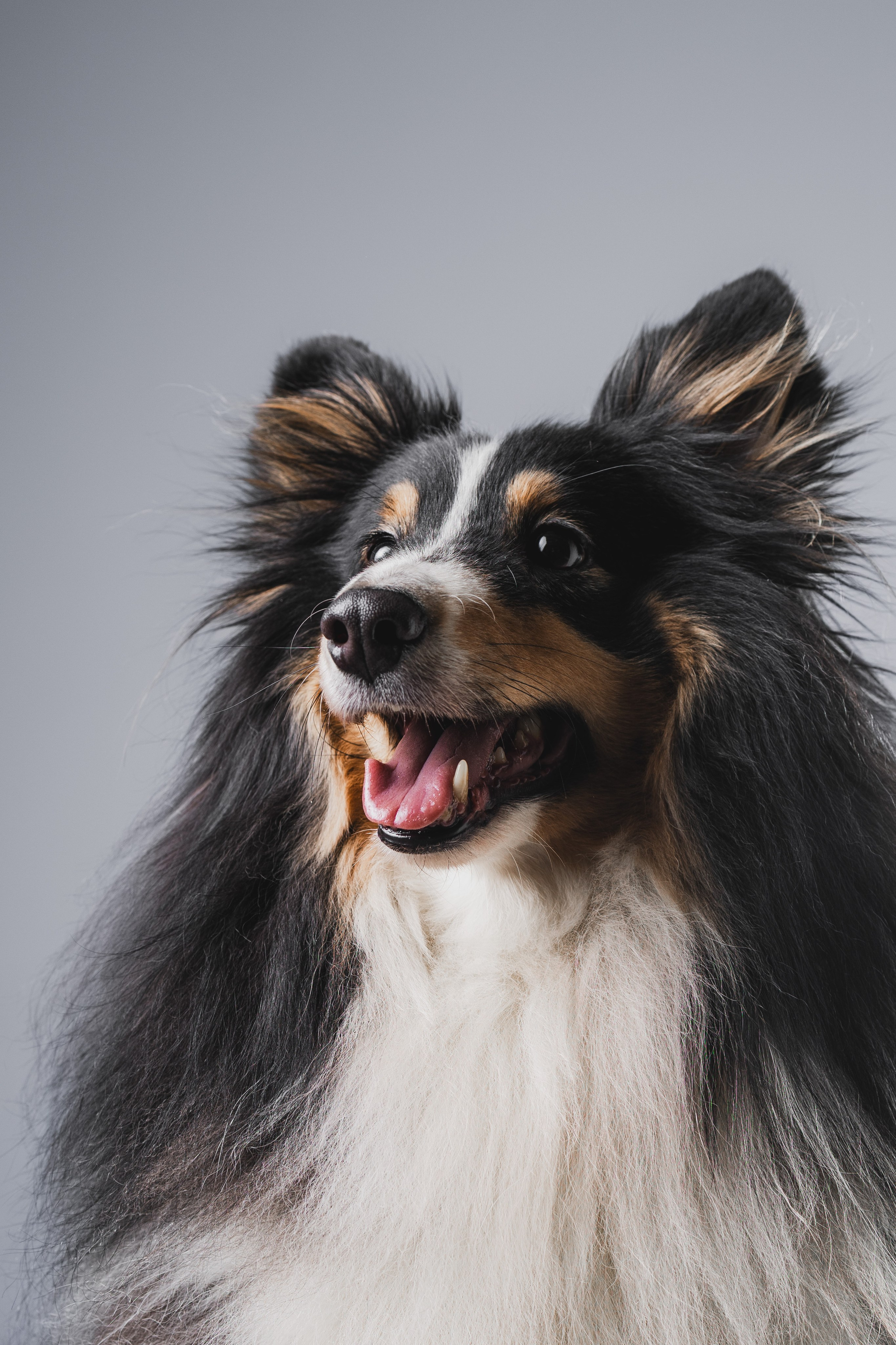 Воркшоп по импульсному свету