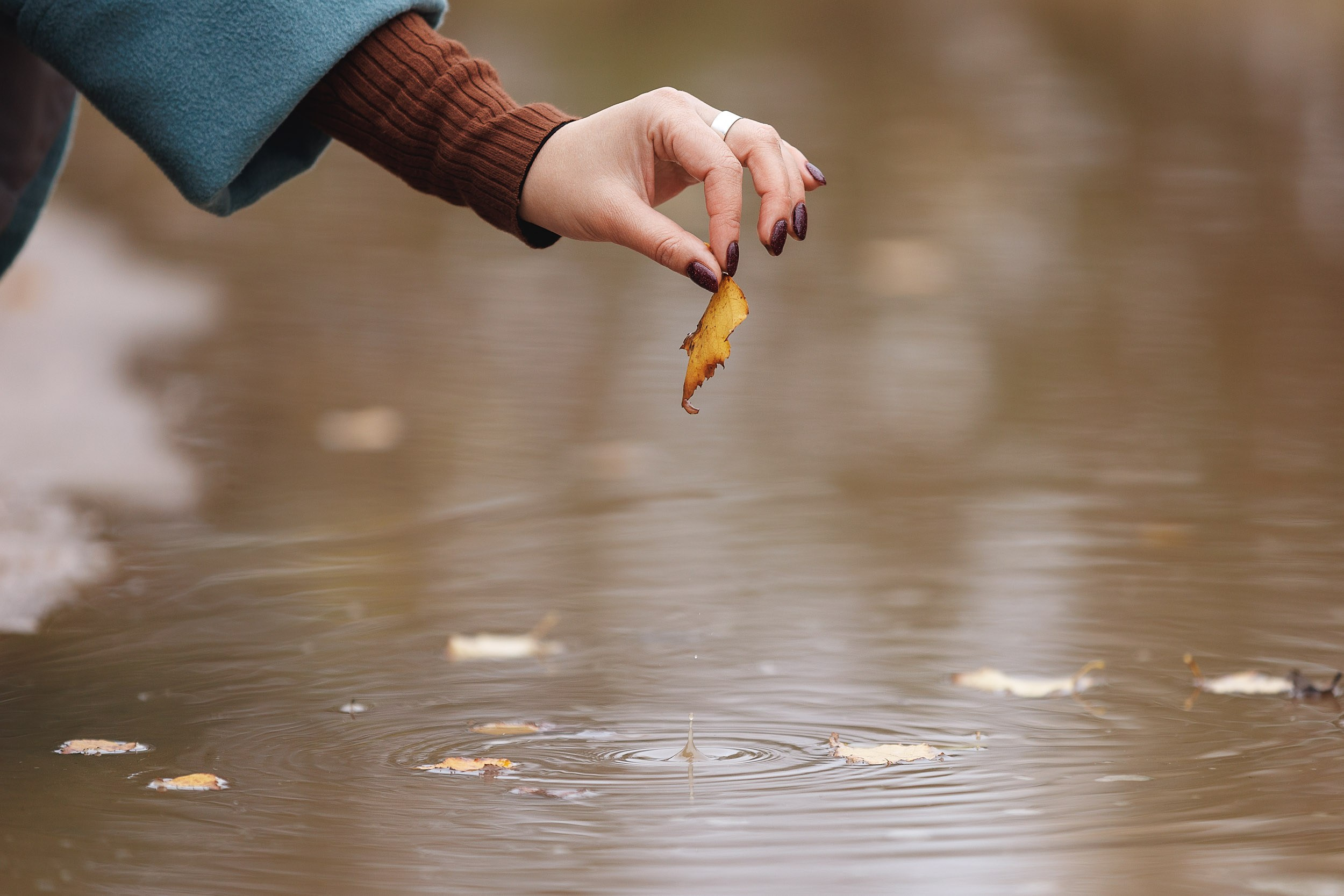Фотосъемка за городом. Фотограф-анималист в Москве и Московской области Татьяна Фролова