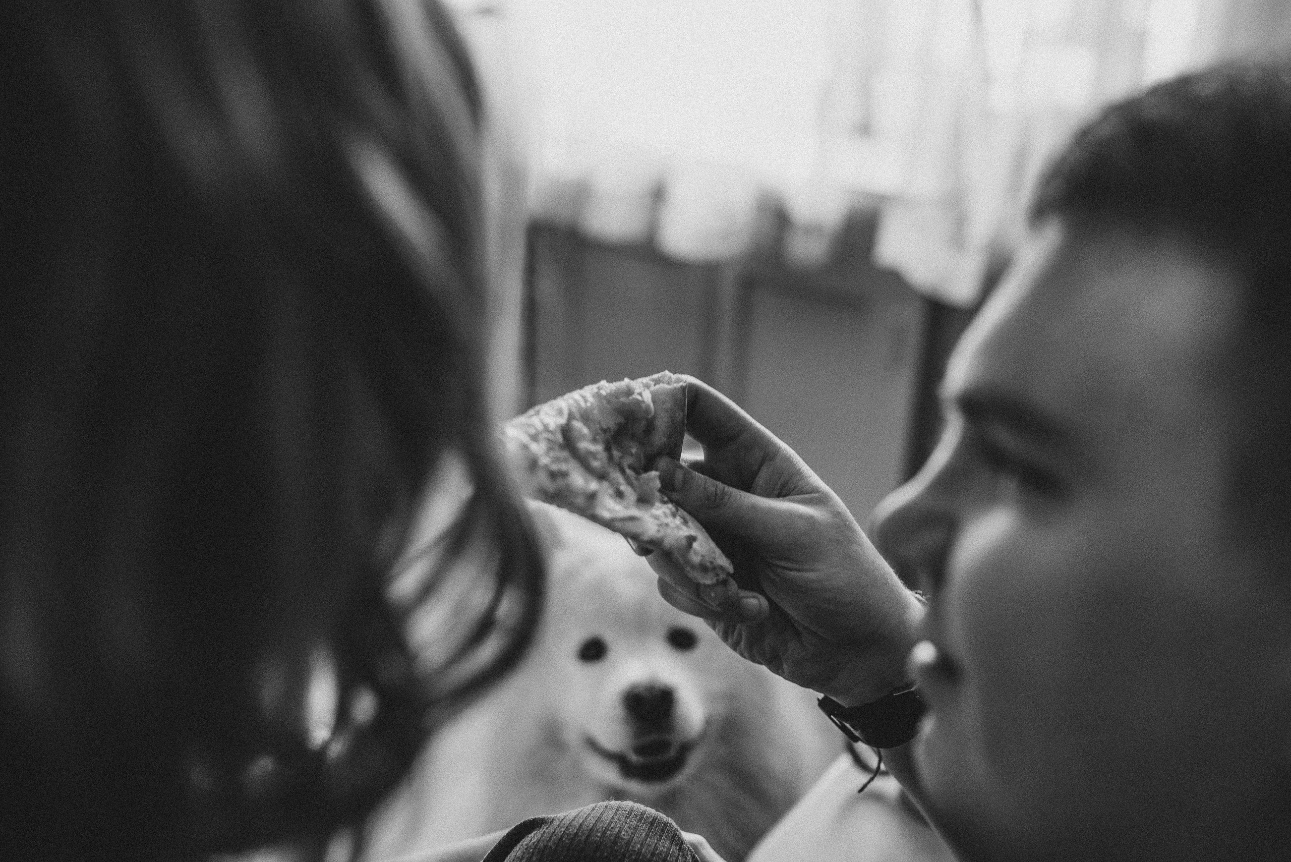 Про любовь. Семейный и детский фотограф в Новосибирске и Краснообске — Анна Ким