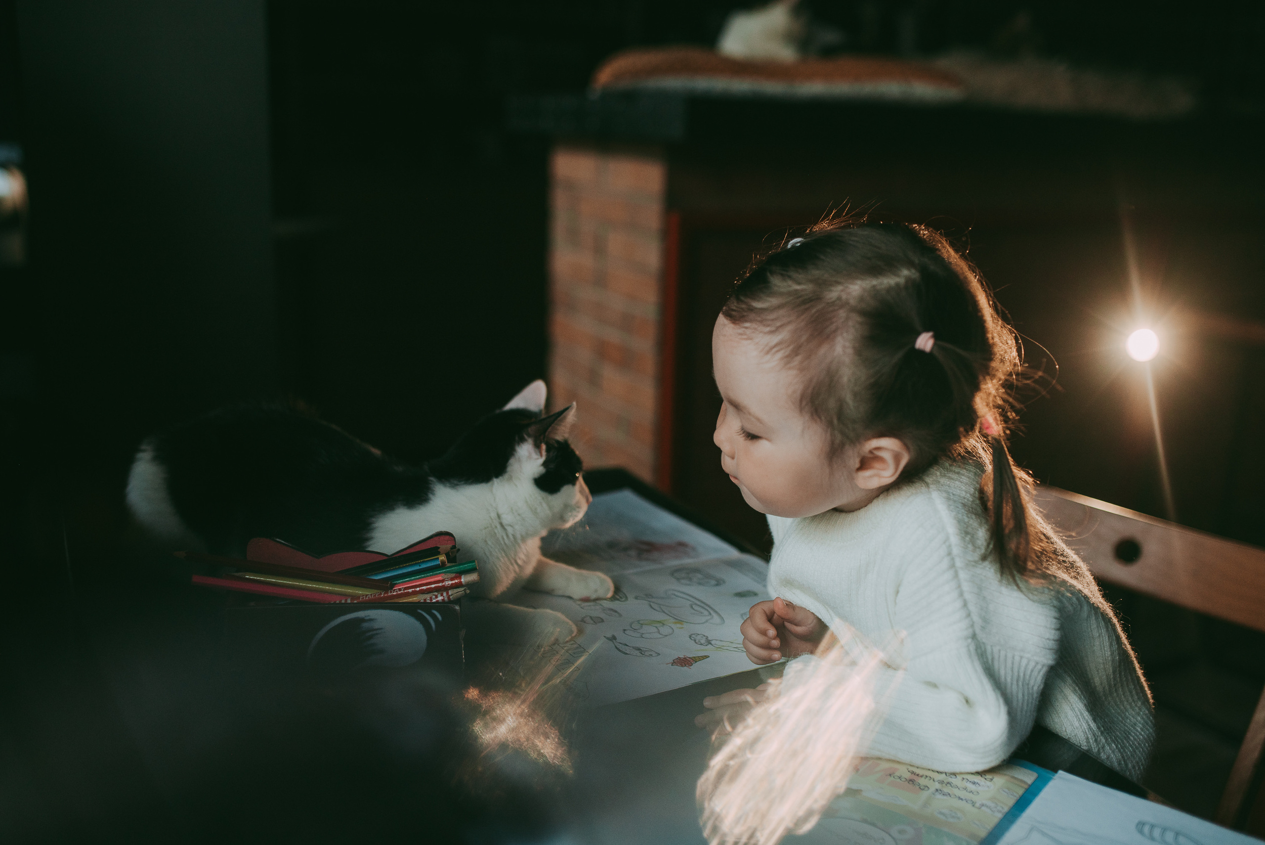В гостях у котиков. Семейный и детский фотограф в Новосибирске и Краснообске — Анна Ким