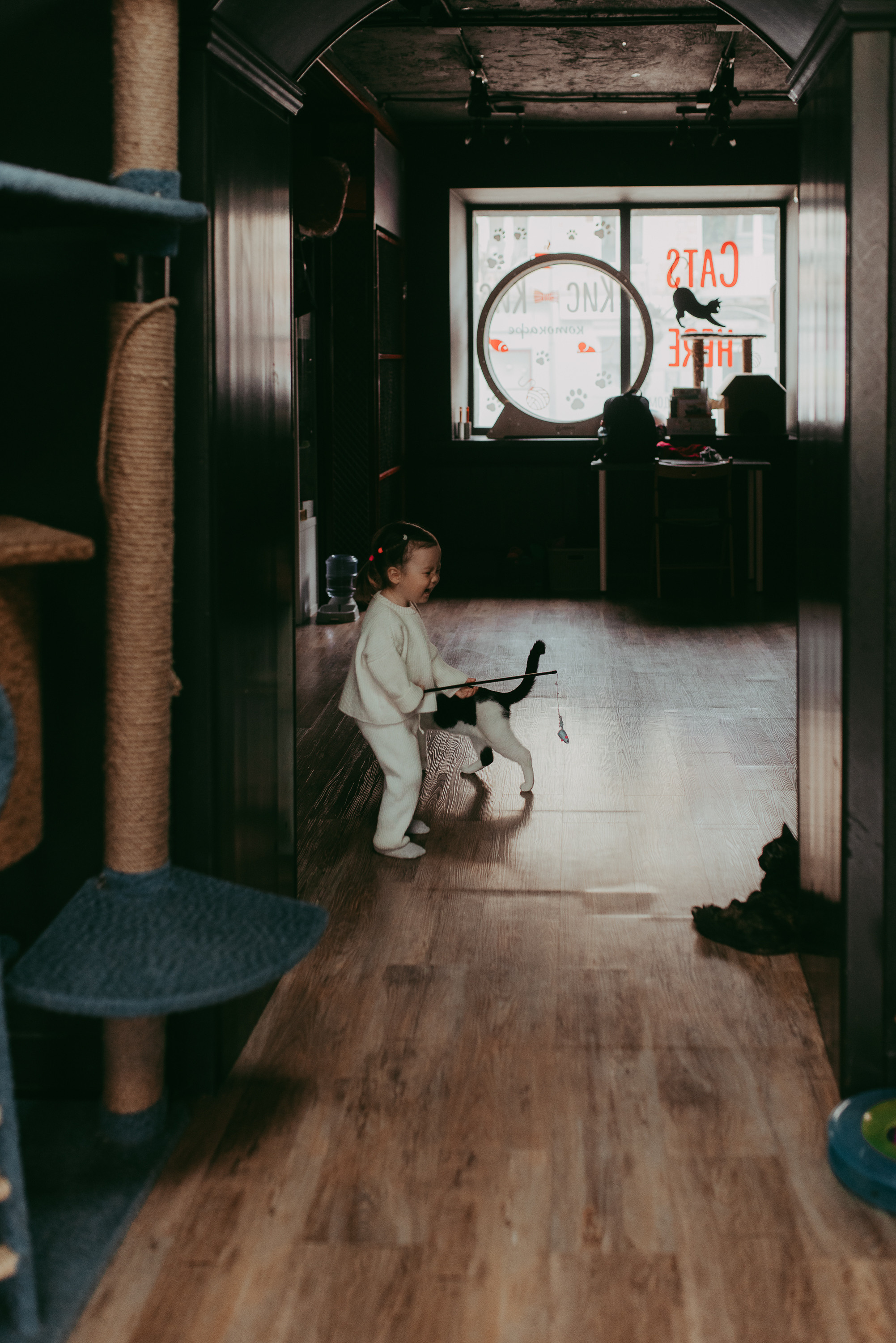 В гостях у котиков. Семейный и детский фотограф в Новосибирске и Краснообске — Анна Ким