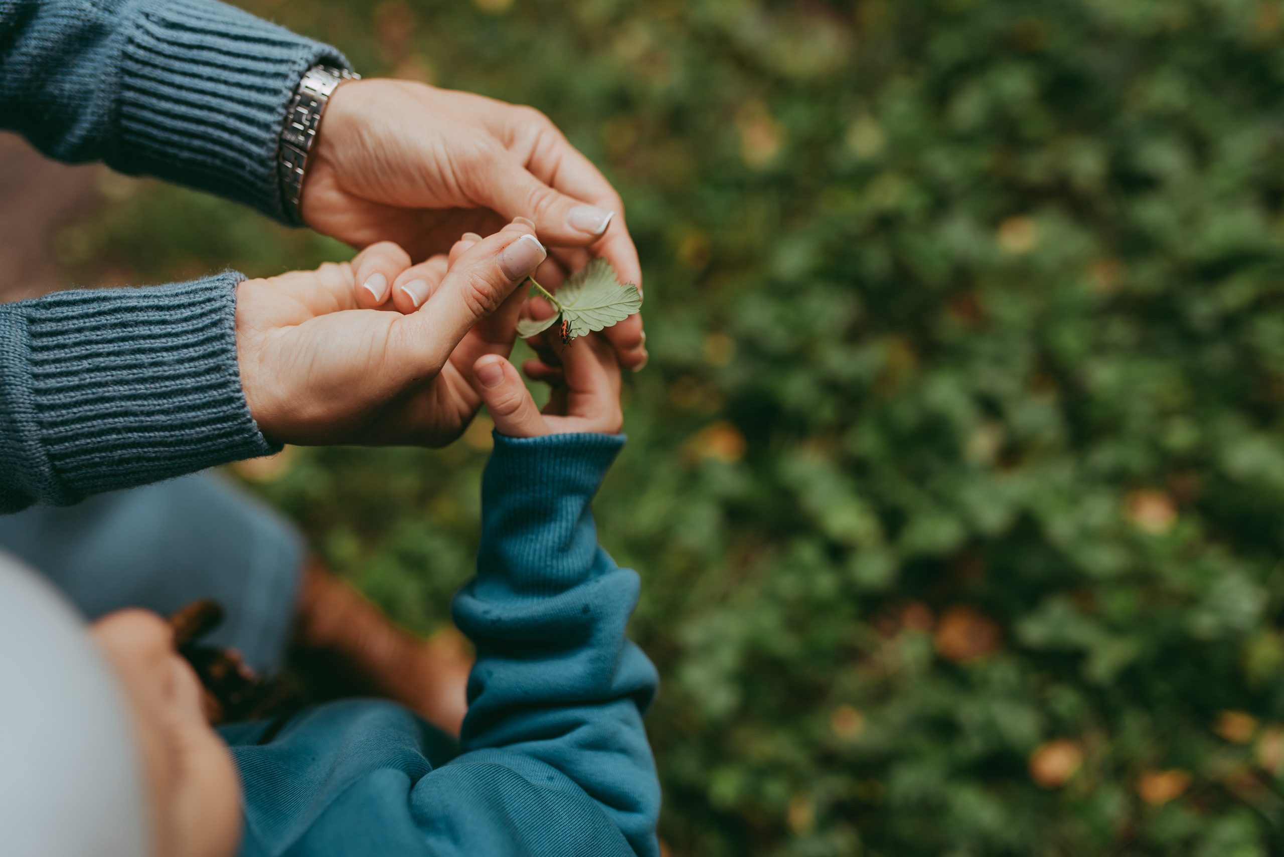 Фотопрогулка Lifestylе, Семейная фотопрогулка Краснообск, Новосибирск. Семейный и детский фотограф в Новосибирске и Краснообске — Анна Ким