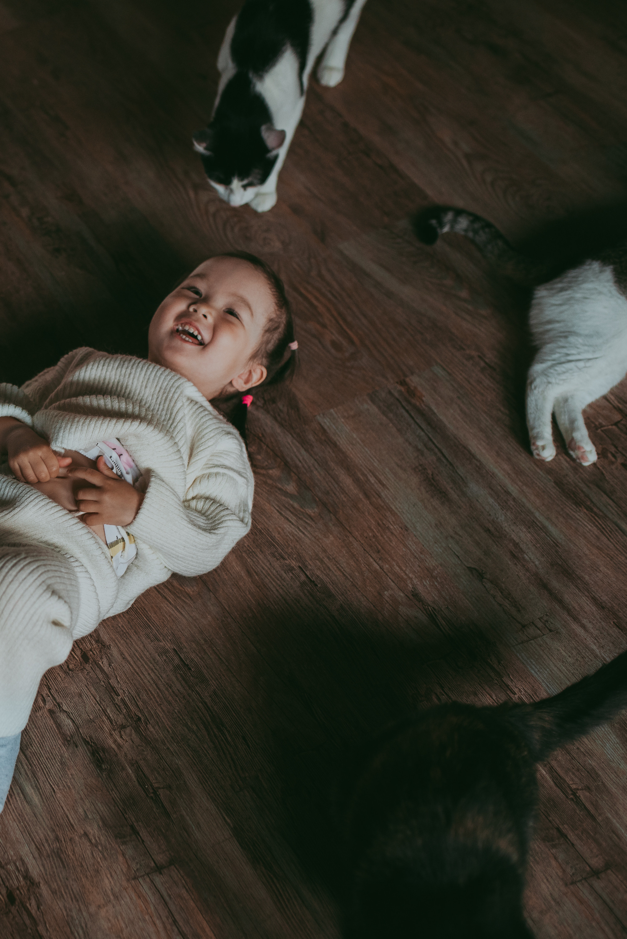 В гостях у котиков. Семейный и детский фотограф в Новосибирске и Краснообске — Анна Ким