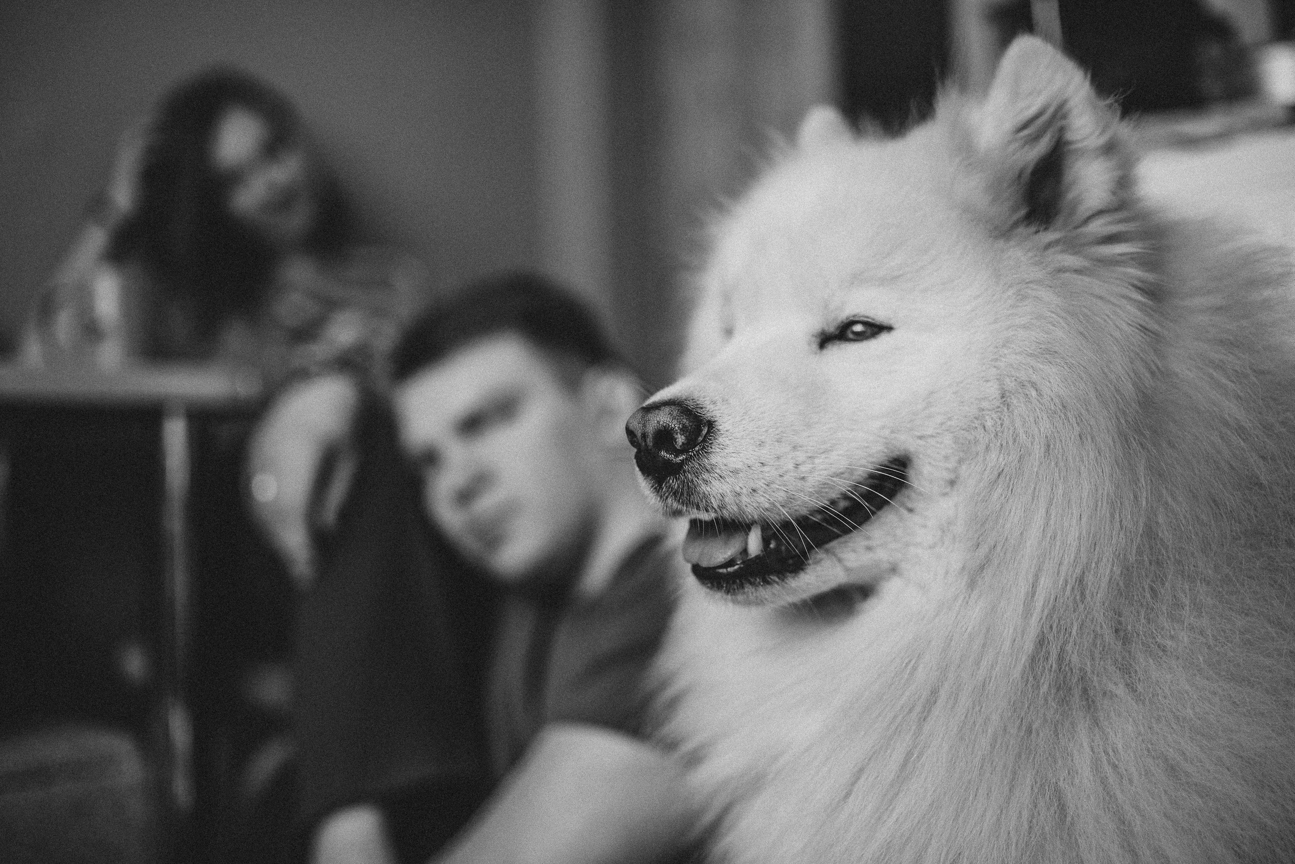 Про любовь. Семейный и детский фотограф в Новосибирске и Краснообске — Анна Ким