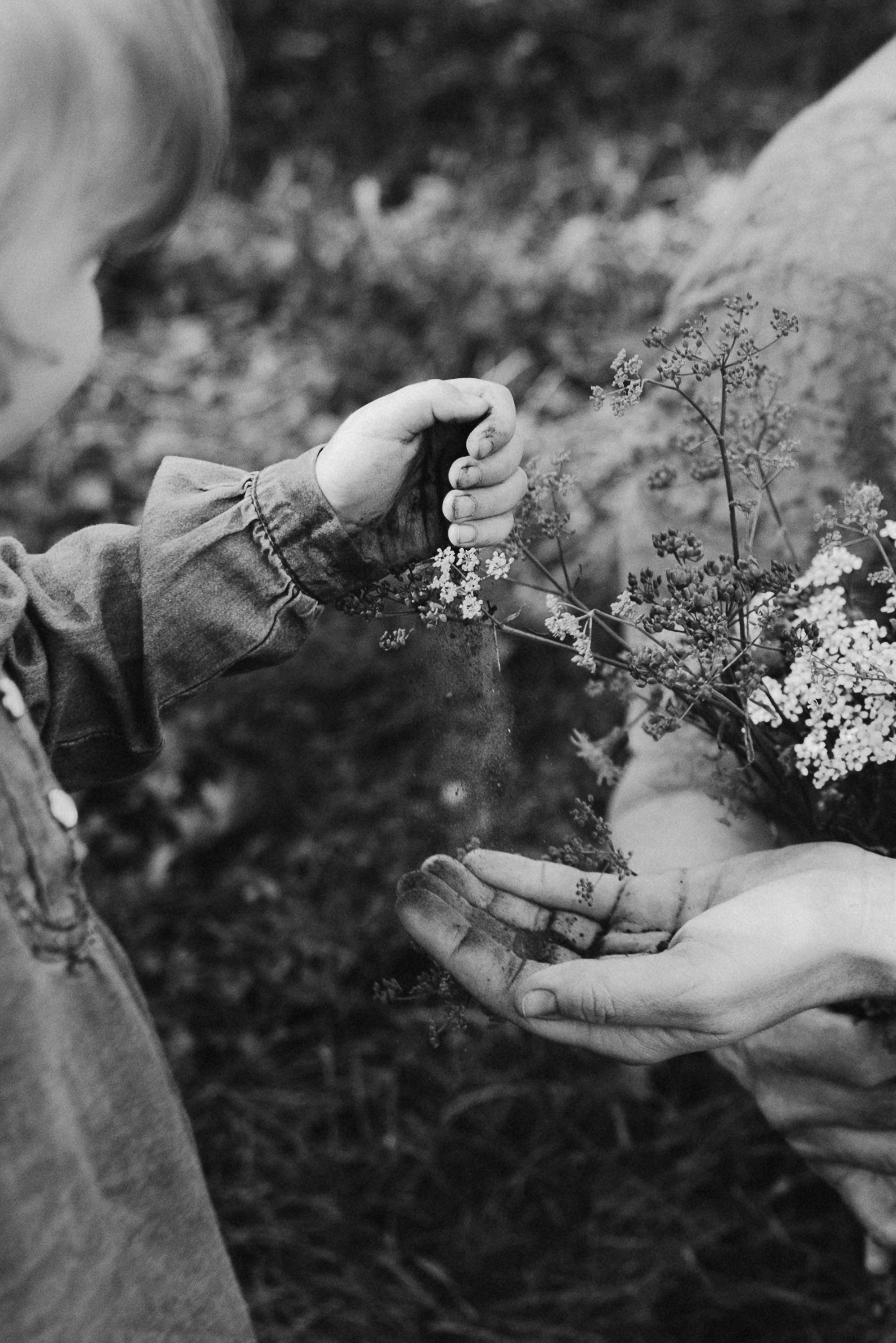 Ира, Верочка и любимая бабушка Валя. Семейный и детский фотограф в Новосибирске и Краснообске — Анна Ким