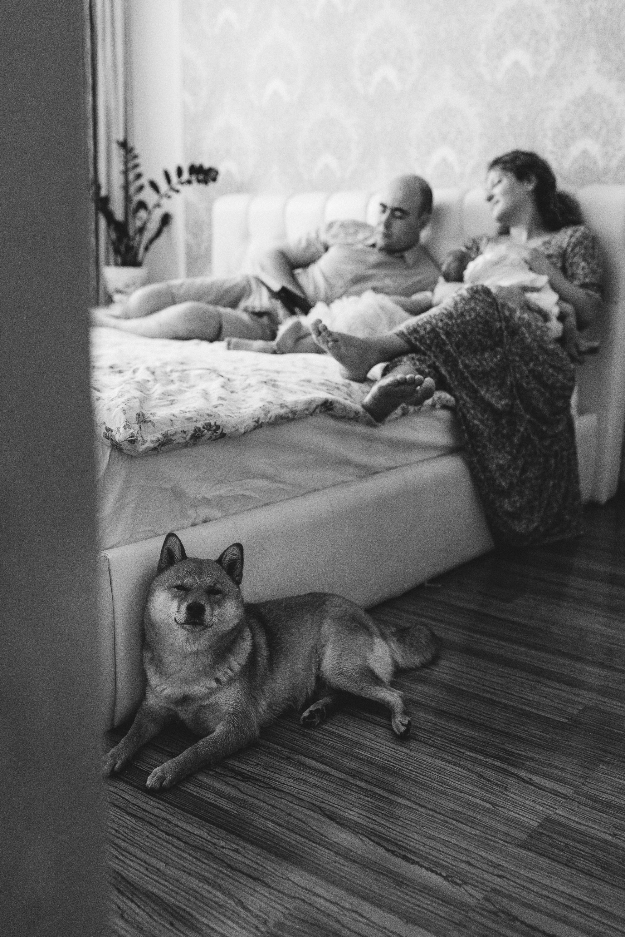 Лев родился!. Семейный и детский фотограф в Новосибирске и Краснообске — Анна Ким