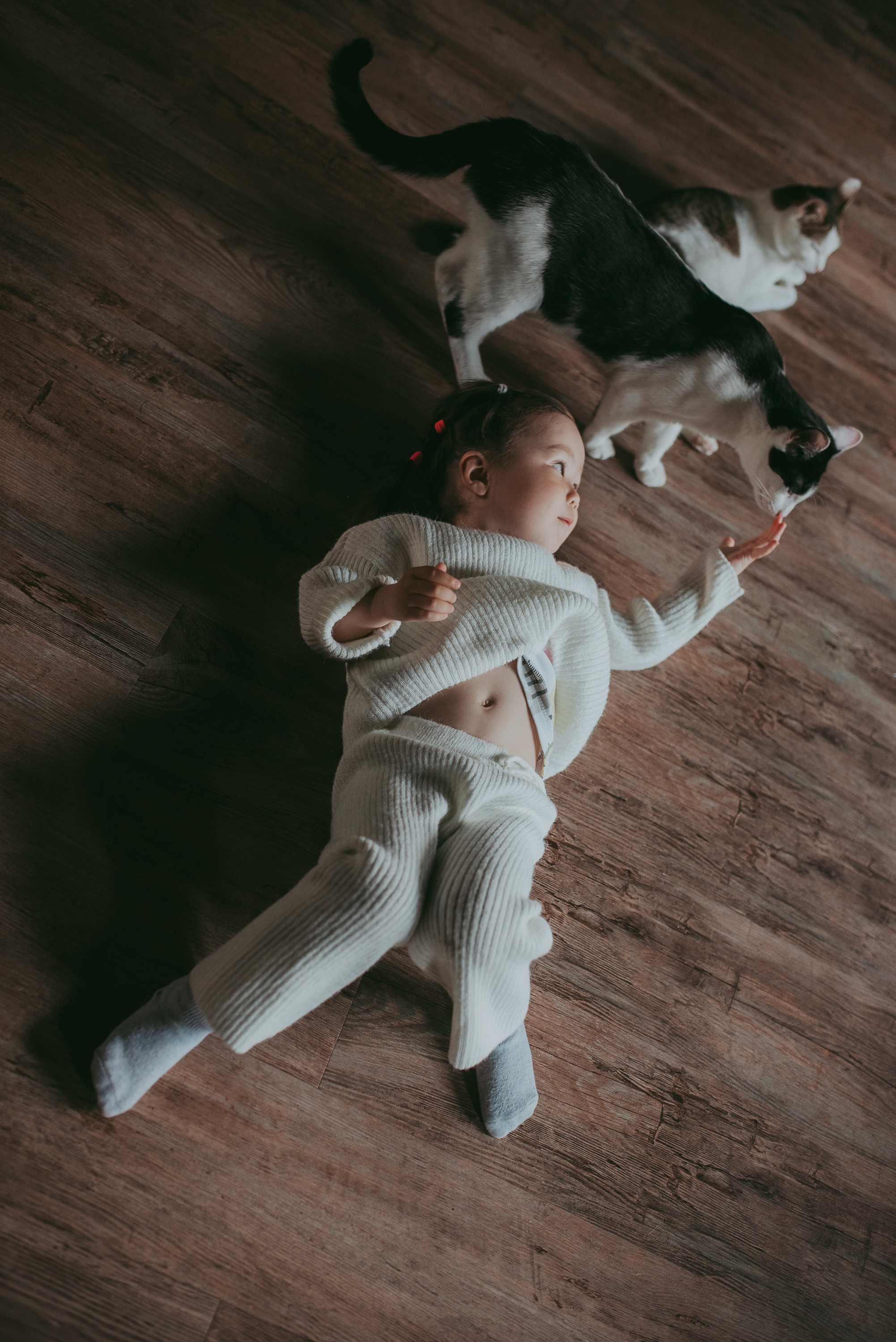 В гостях у котиков. Семейный и детский фотограф в Новосибирске и Краснообске — Анна Ким