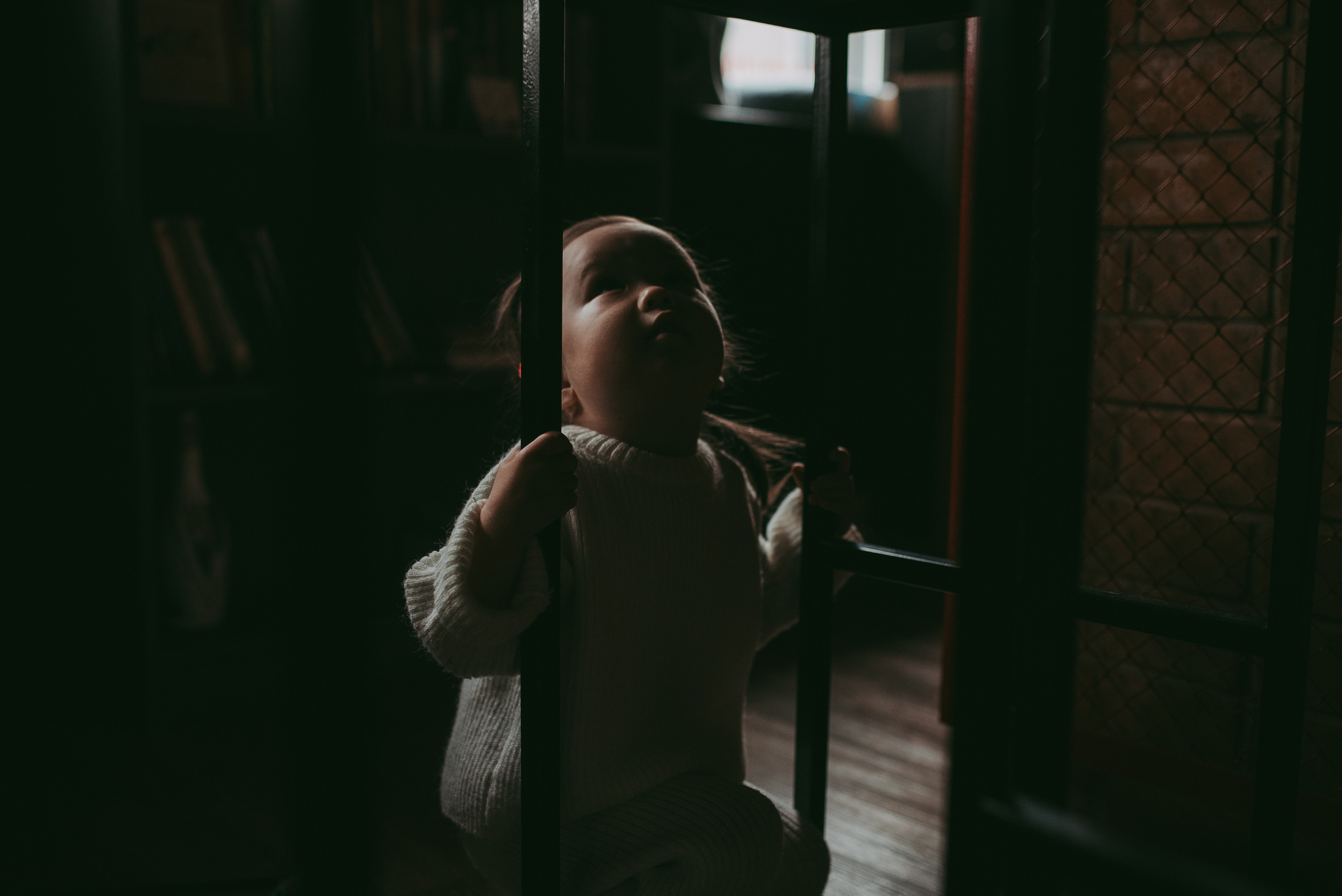 В гостях у котиков. Семейный и детский фотограф в Новосибирске и Краснообске — Анна Ким