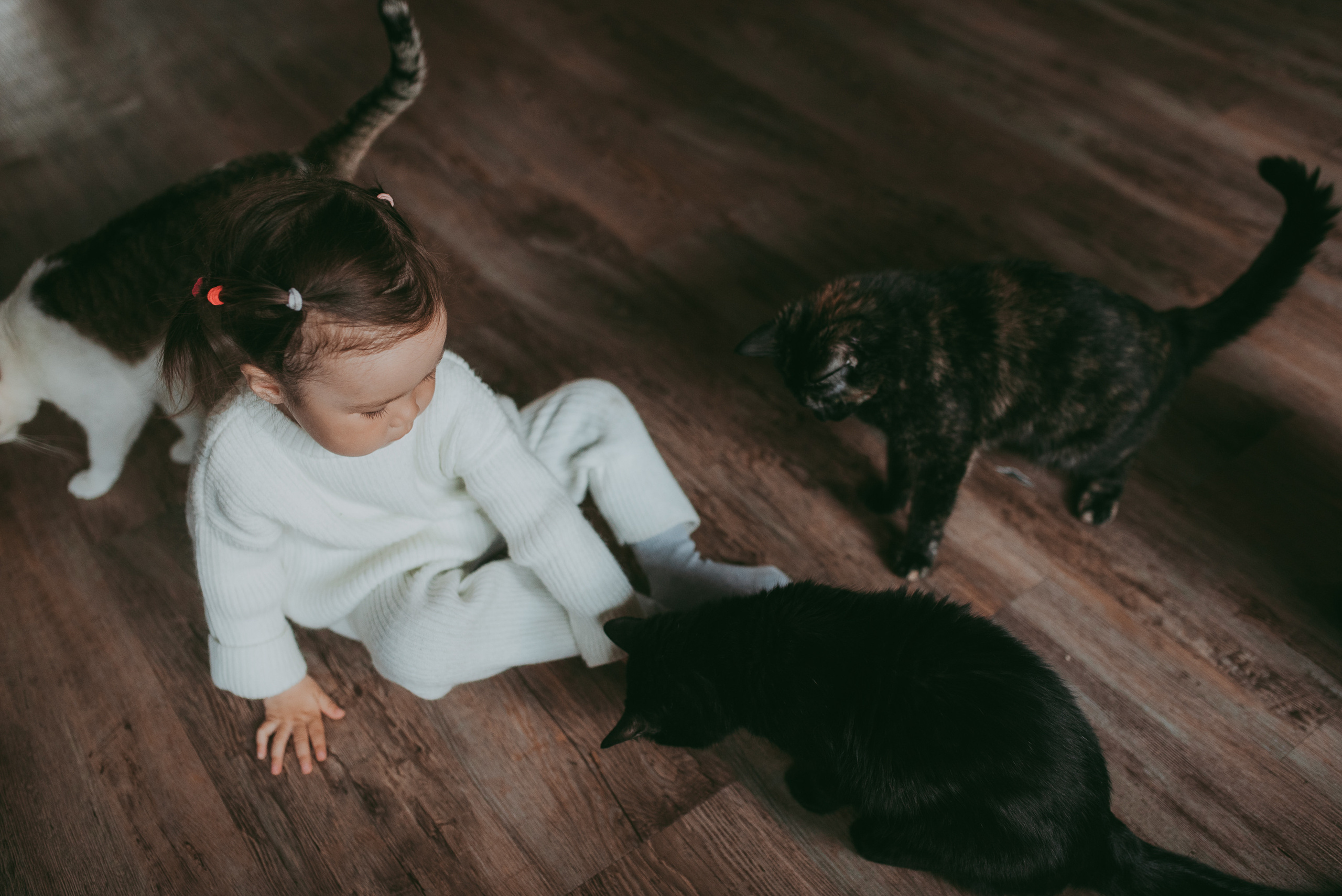 В гостях у котиков. Семейный и детский фотограф в Новосибирске и Краснообске — Анна Ким