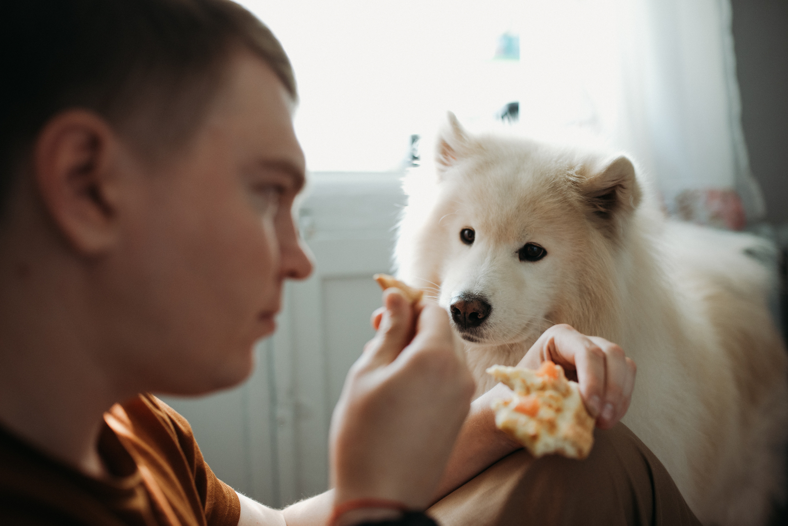 Про любовь. Семейный и детский фотограф в Новосибирске и Краснообске — Анна Ким