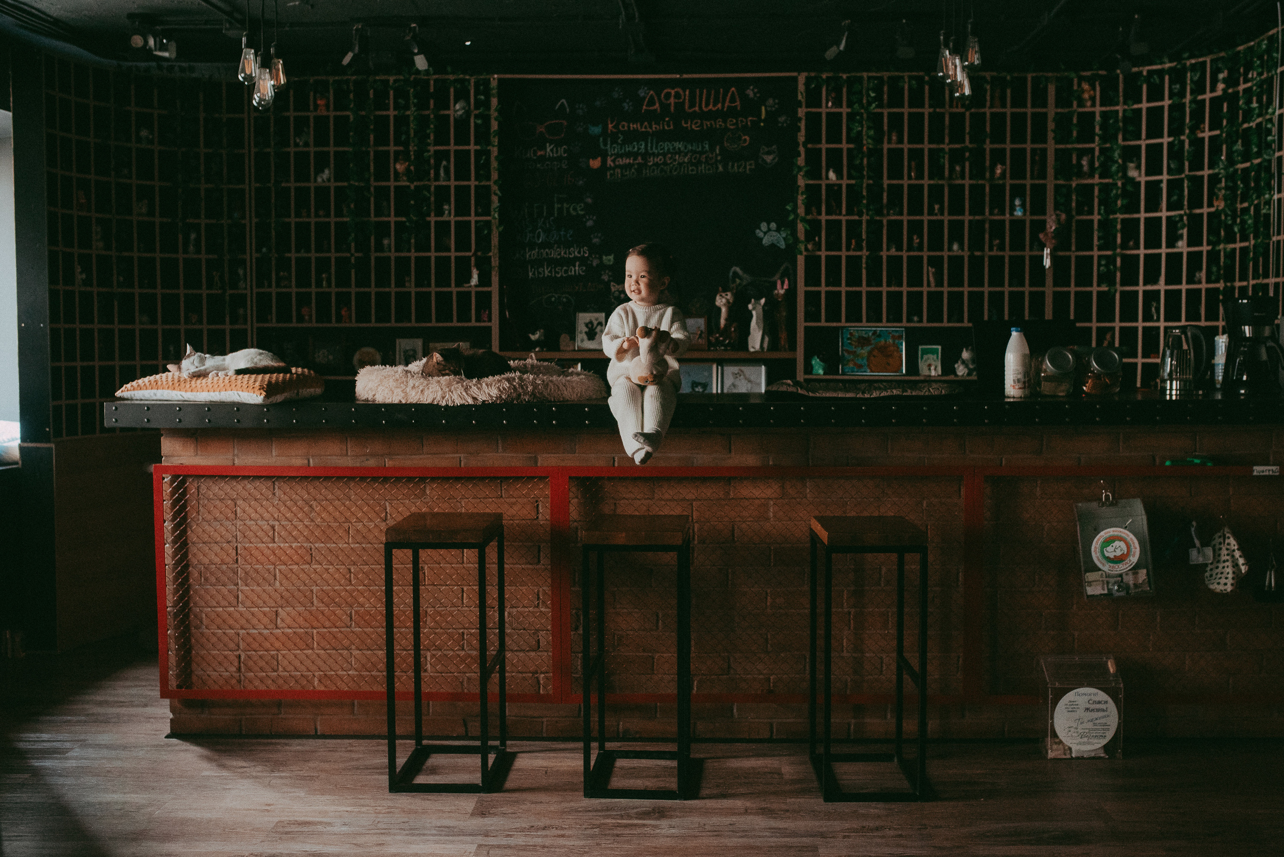 В гостях у котиков. Семейный и детский фотограф в Новосибирске и Краснообске — Анна Ким