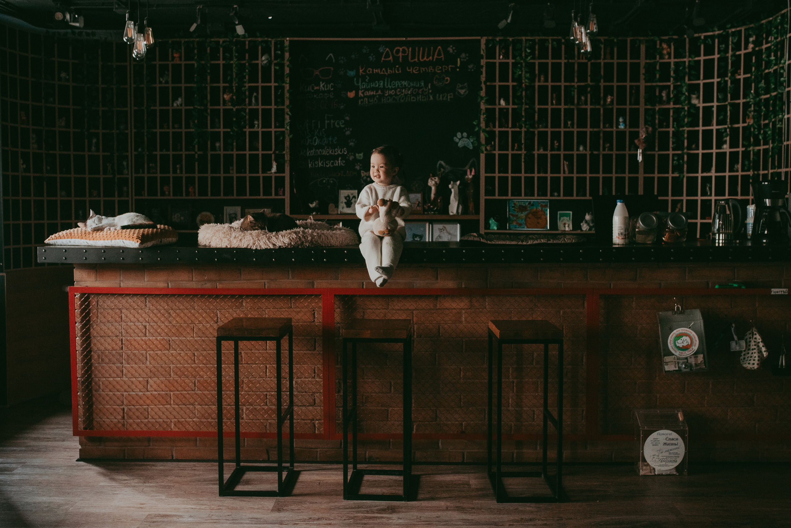 В гостях у котиков. Семейный и детский фотограф в Новосибирске и Краснообске — Анна Ким
