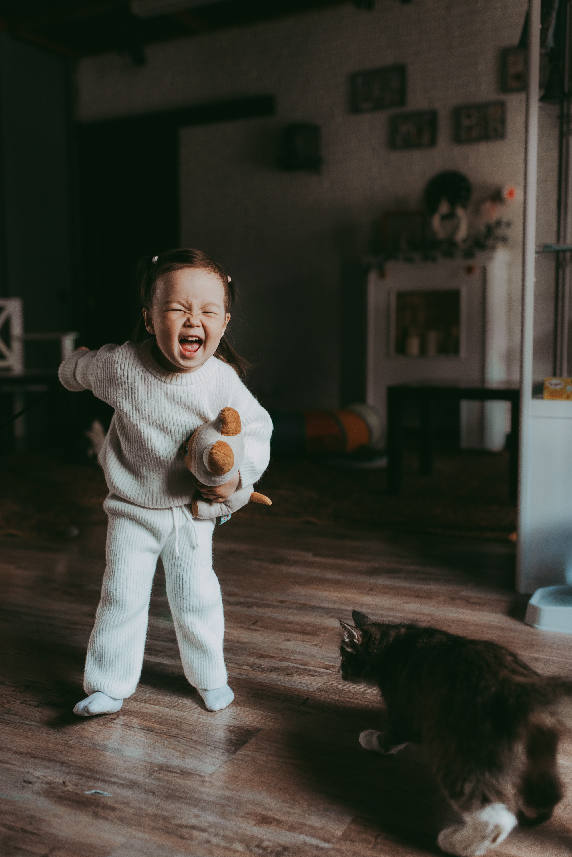 В гостях у котиков. Семейный и детский фотограф в Новосибирске и Краснообске — Анна Ким