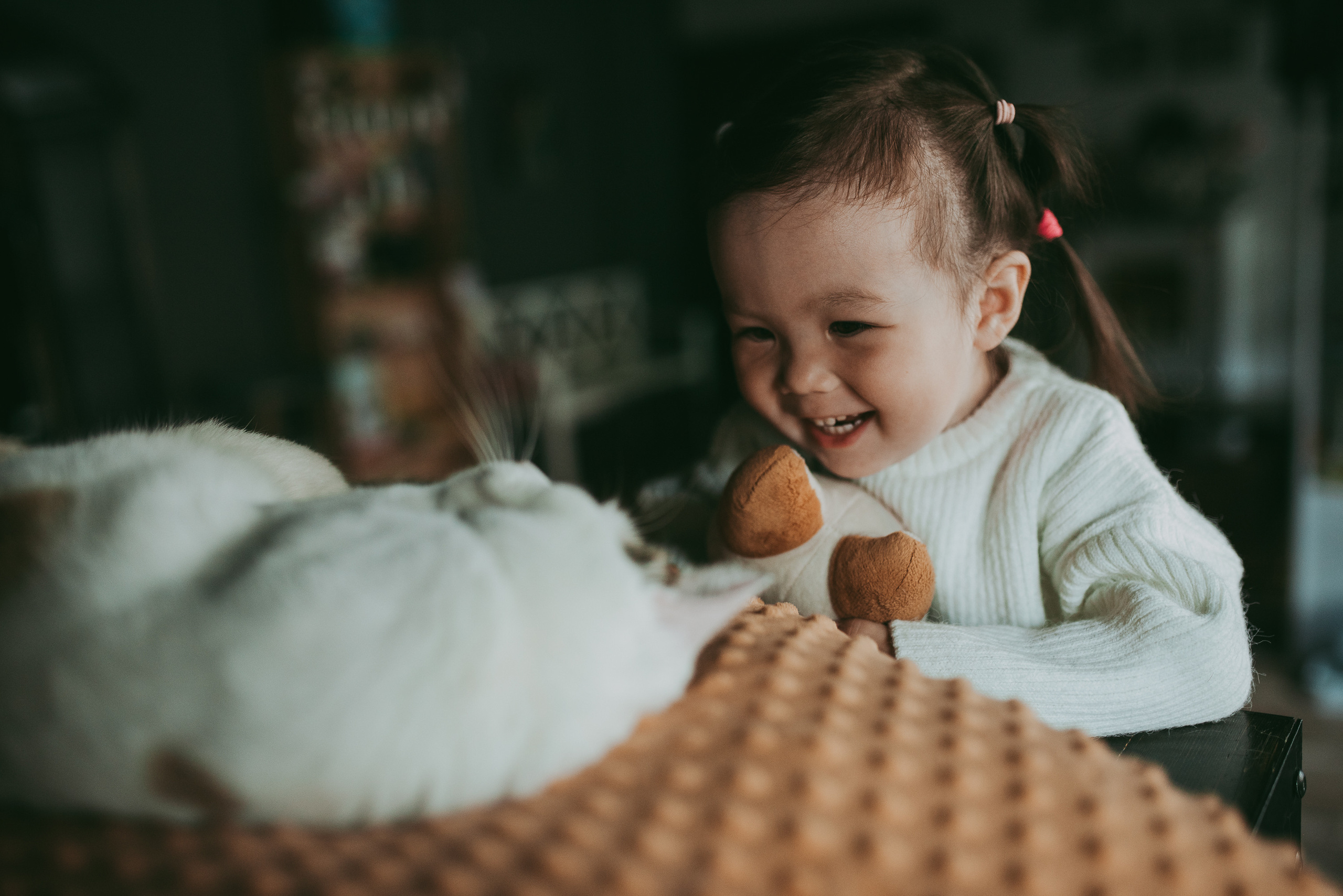 В гостях у котиков. Семейный и детский фотограф в Новосибирске и Краснообске — Анна Ким