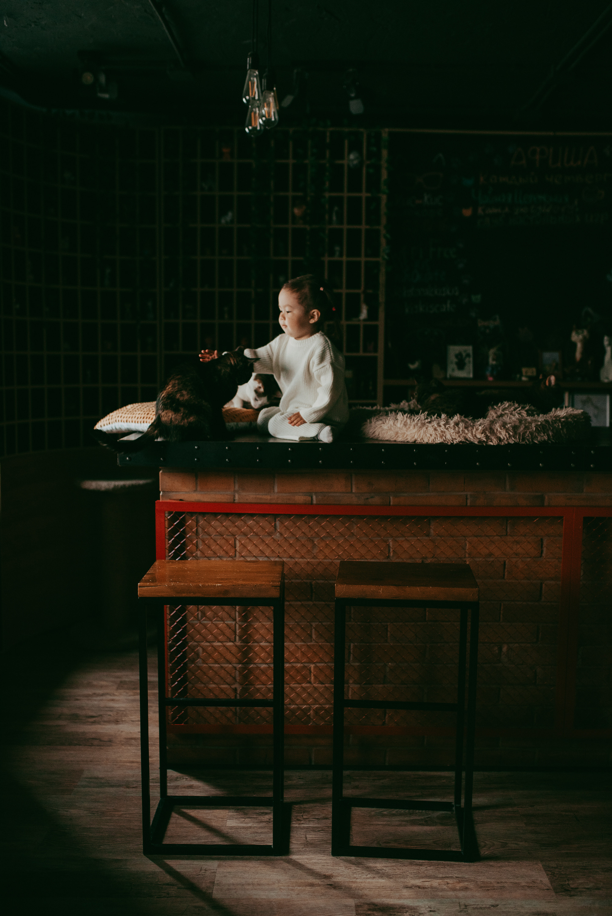 В гостях у котиков. Семейный и детский фотограф в Новосибирске и Краснообске — Анна Ким