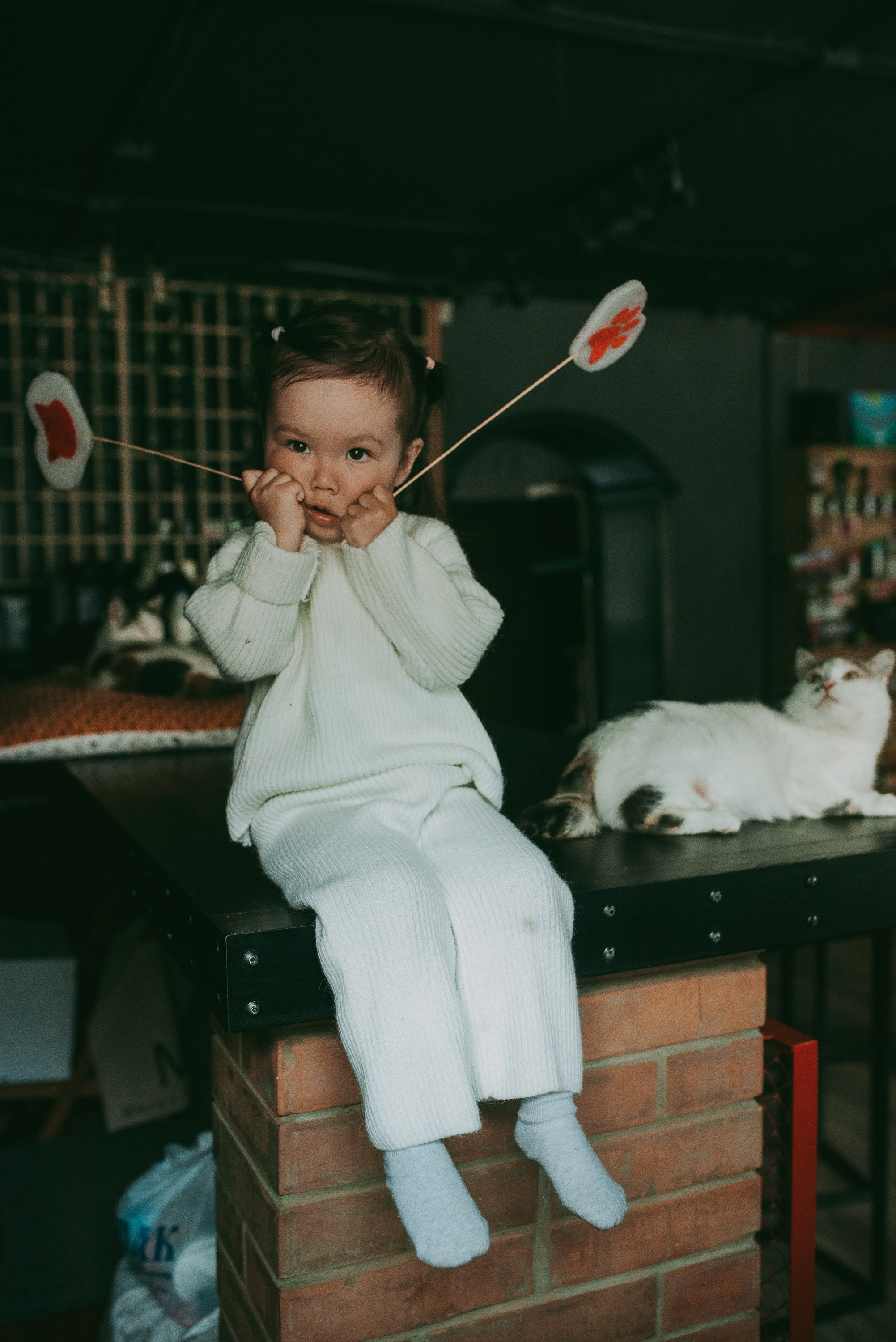 В гостях у котиков. Семейный и детский фотограф в Новосибирске и Краснообске — Анна Ким