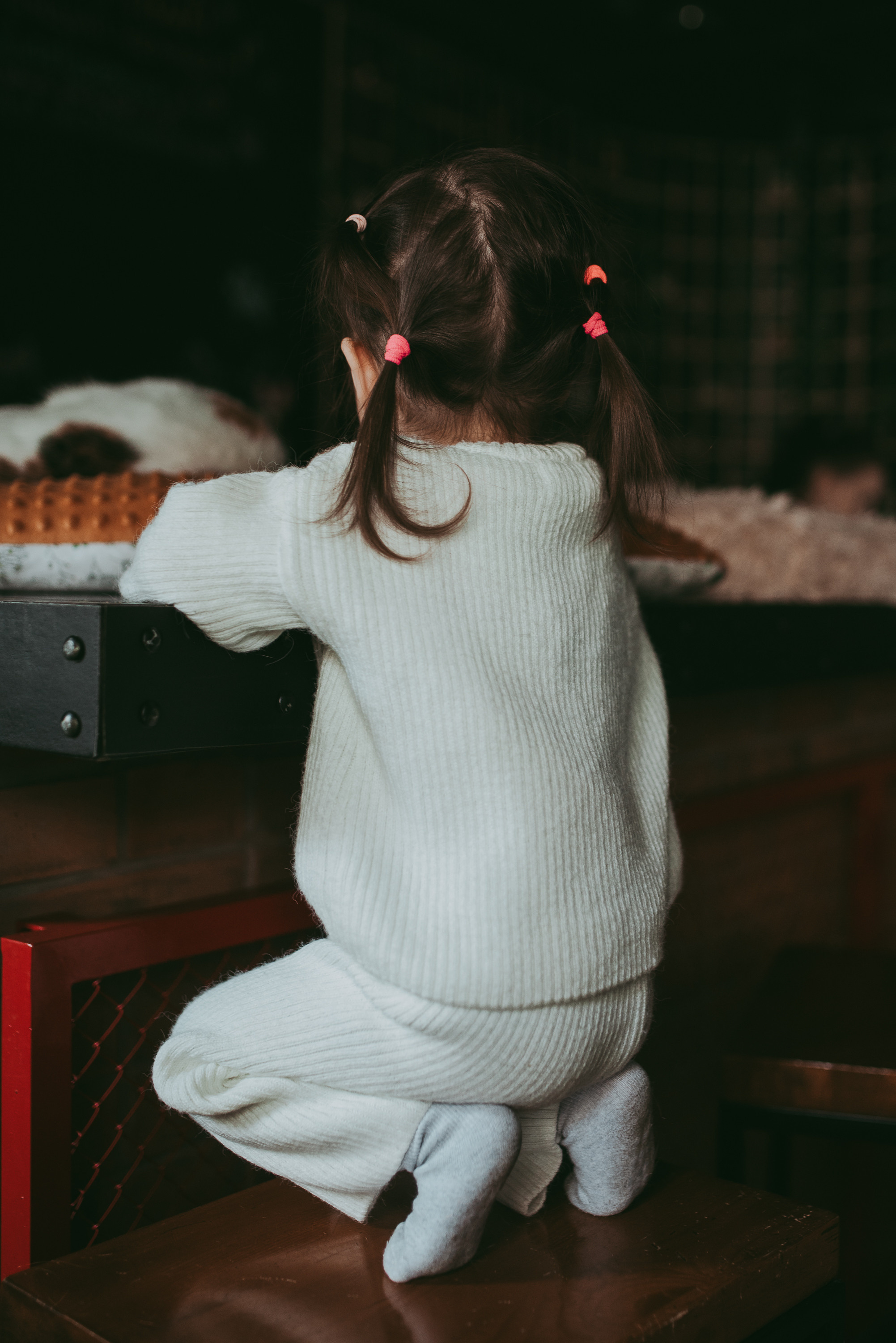 В гостях у котиков. Семейный и детский фотограф в Новосибирске и Краснообске — Анна Ким